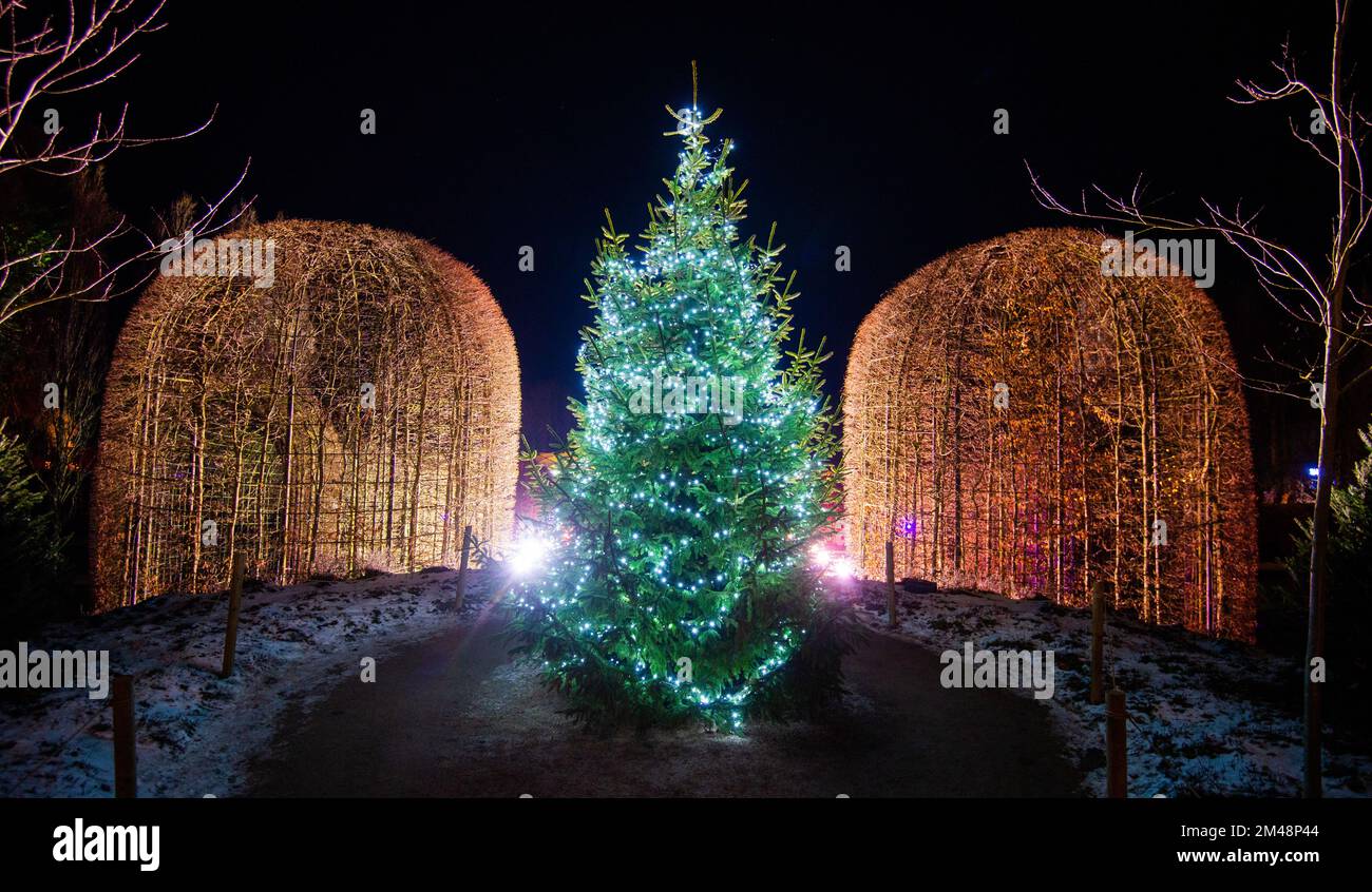Alnwick Castle Gardens Christmas Lights At Lachlan Ricardo Blog