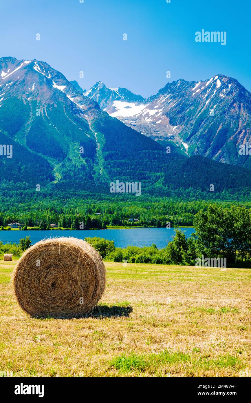 Large round hay bales in farm fields; Lake Kathlyn; Hazelton Mountains