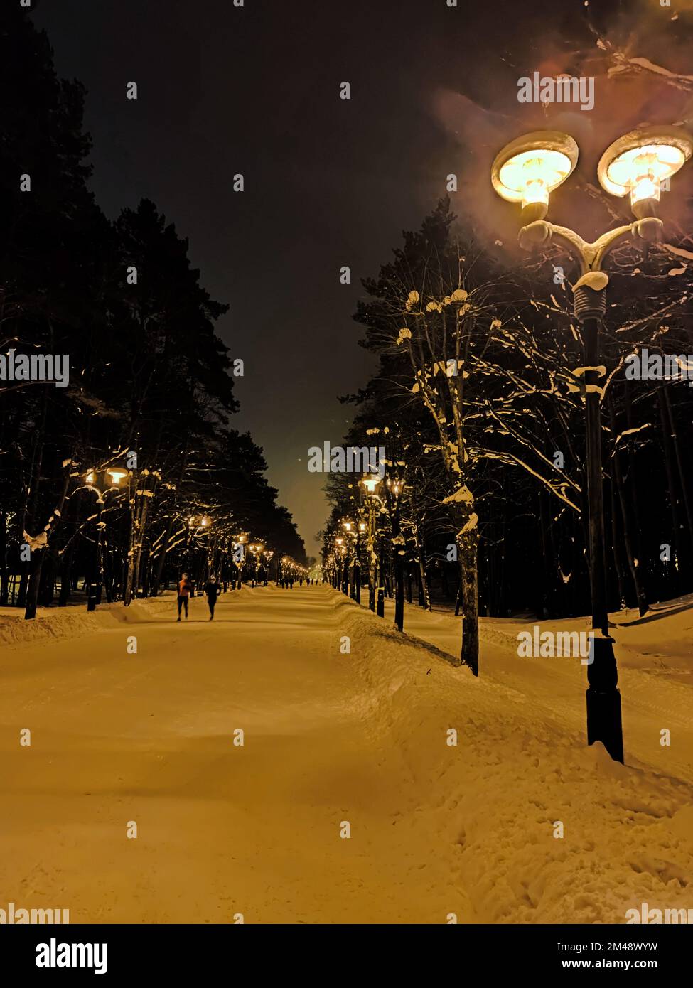 Christmas evening winter landscape with vintage lampposts Stock Photo ...