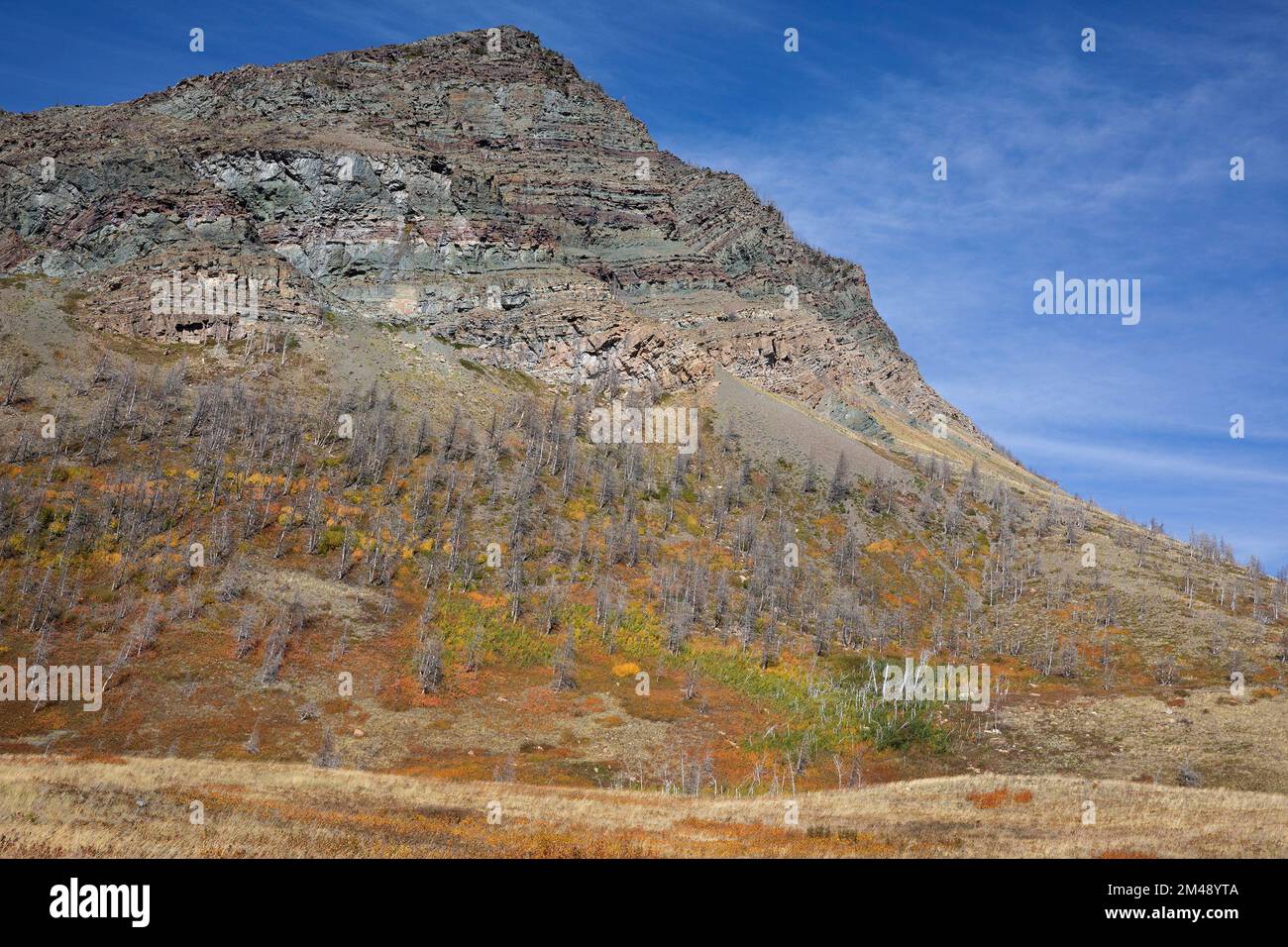 Argillite sedimentary rock layers in the ancient mountains of Waterton, Canada. The red colour is from oxidized iron and green from unoxidized iron Stock Photo