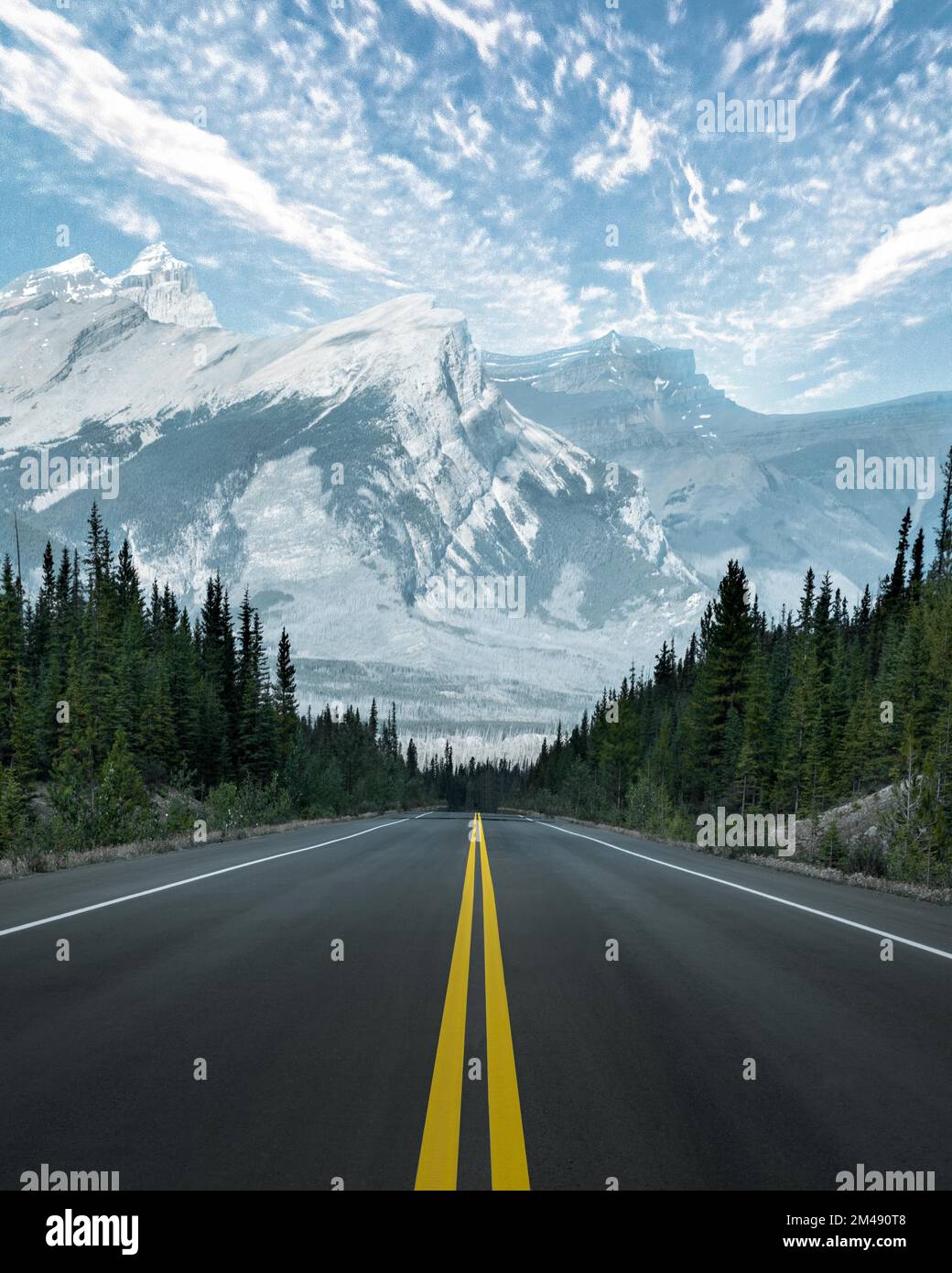 A vertical shot of the road surrounded by trees with rocky mountains in ...