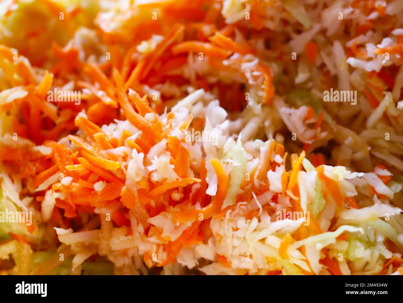Fresh vegetable sald. Healthy food. Cabbage and carrots Stock Photo