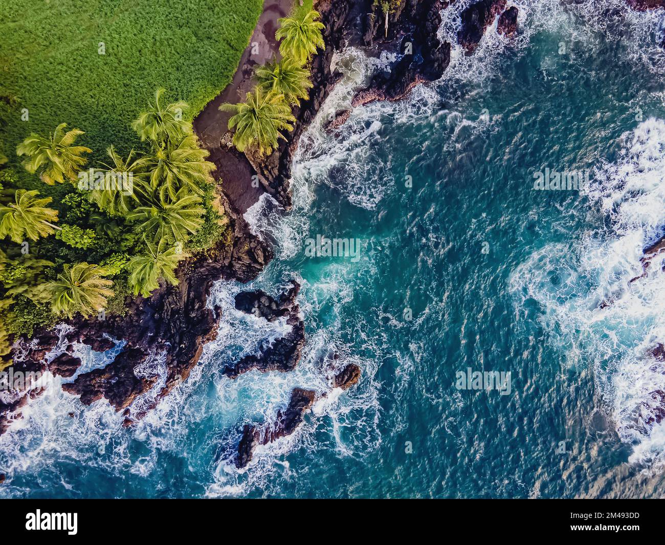 Aerial Drone View Of Rocky Coast With Palms And Blue Ocean With Waves 