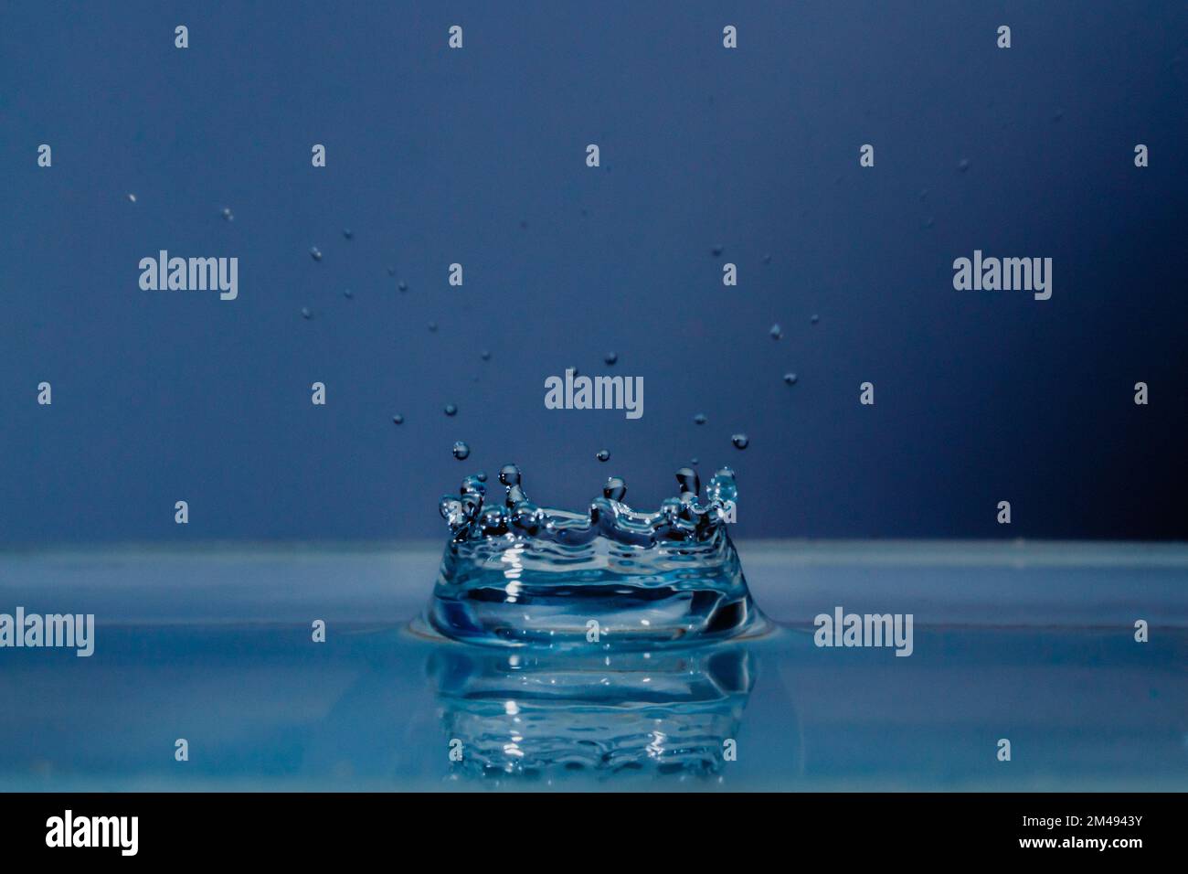 A splashing water drop hitting water surface Stock Photo Alamy