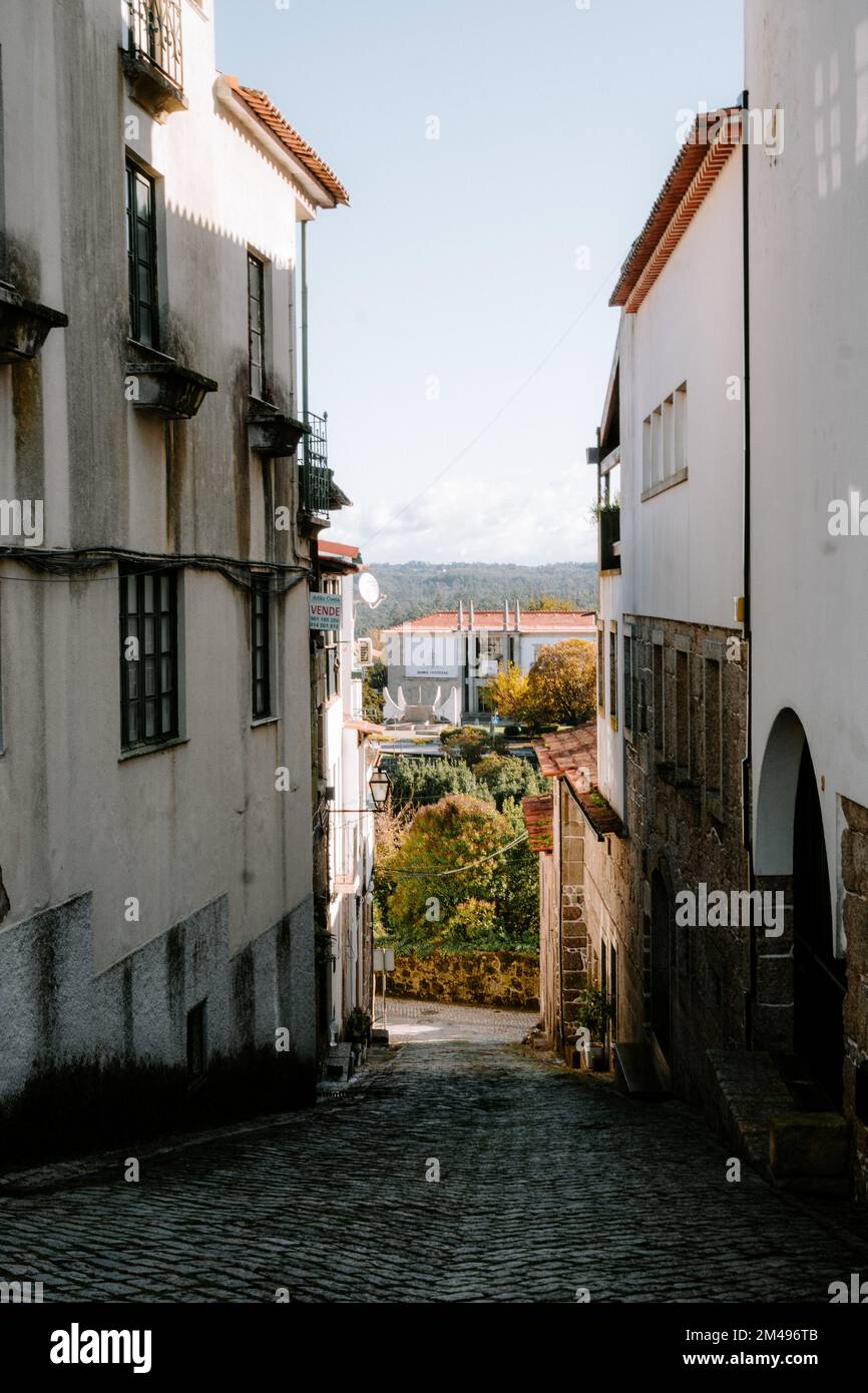 A vertical shot of a narrow brick street between two old buildings ...