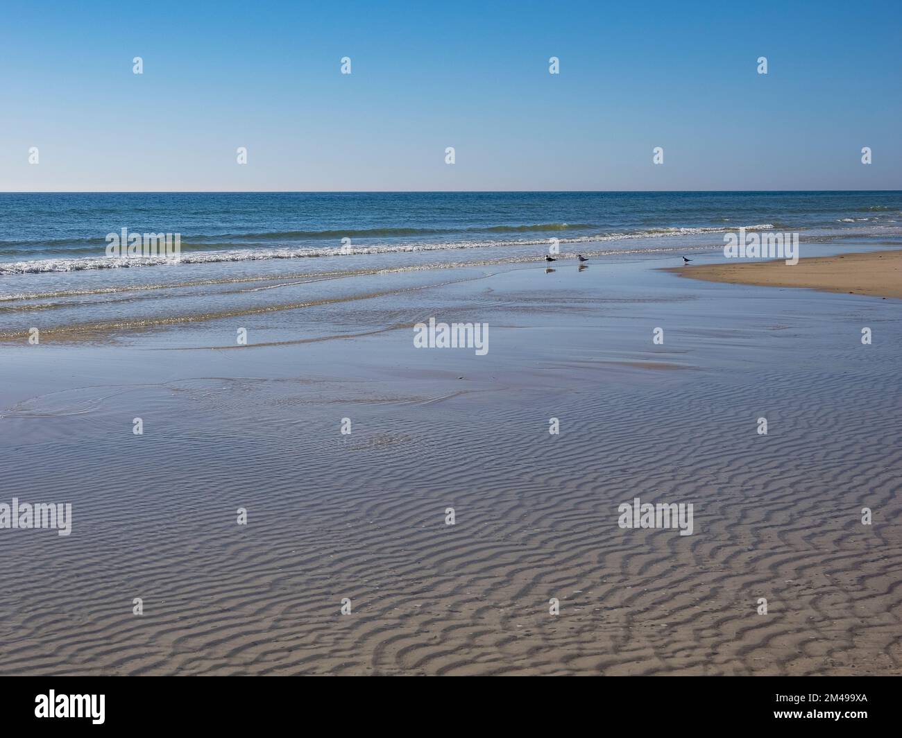 Calm blue sky summer day on the Gulf of Mexico beach on St