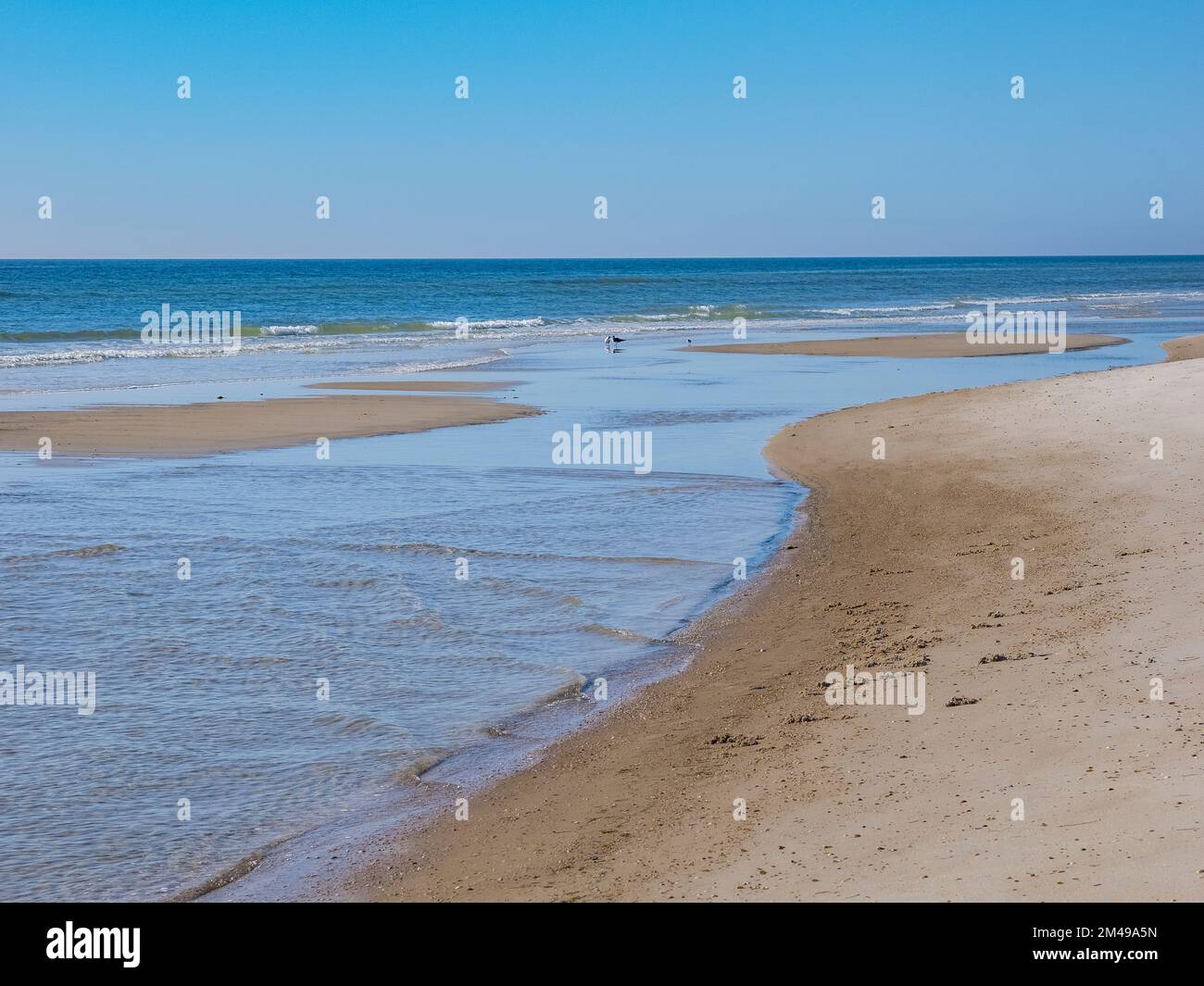 Calm blue sky summer day on the Gulf of Mexico beach on St