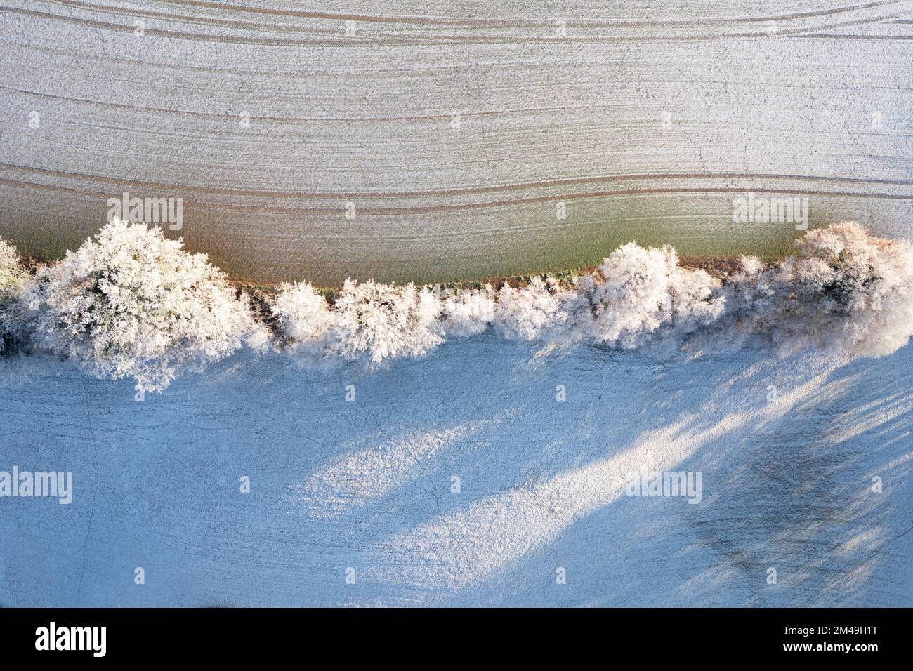 Drone image of ecologically valuable woody strips at the edge of a field in winter, field with ruts, Velbert, North Rhine-Westphalia, Germany Stock Photo