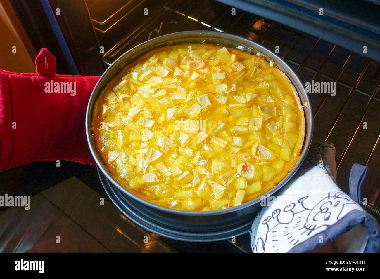 Swabian cuisine, preparing cider cake with apples, baked cake in springform pan, cake tin
