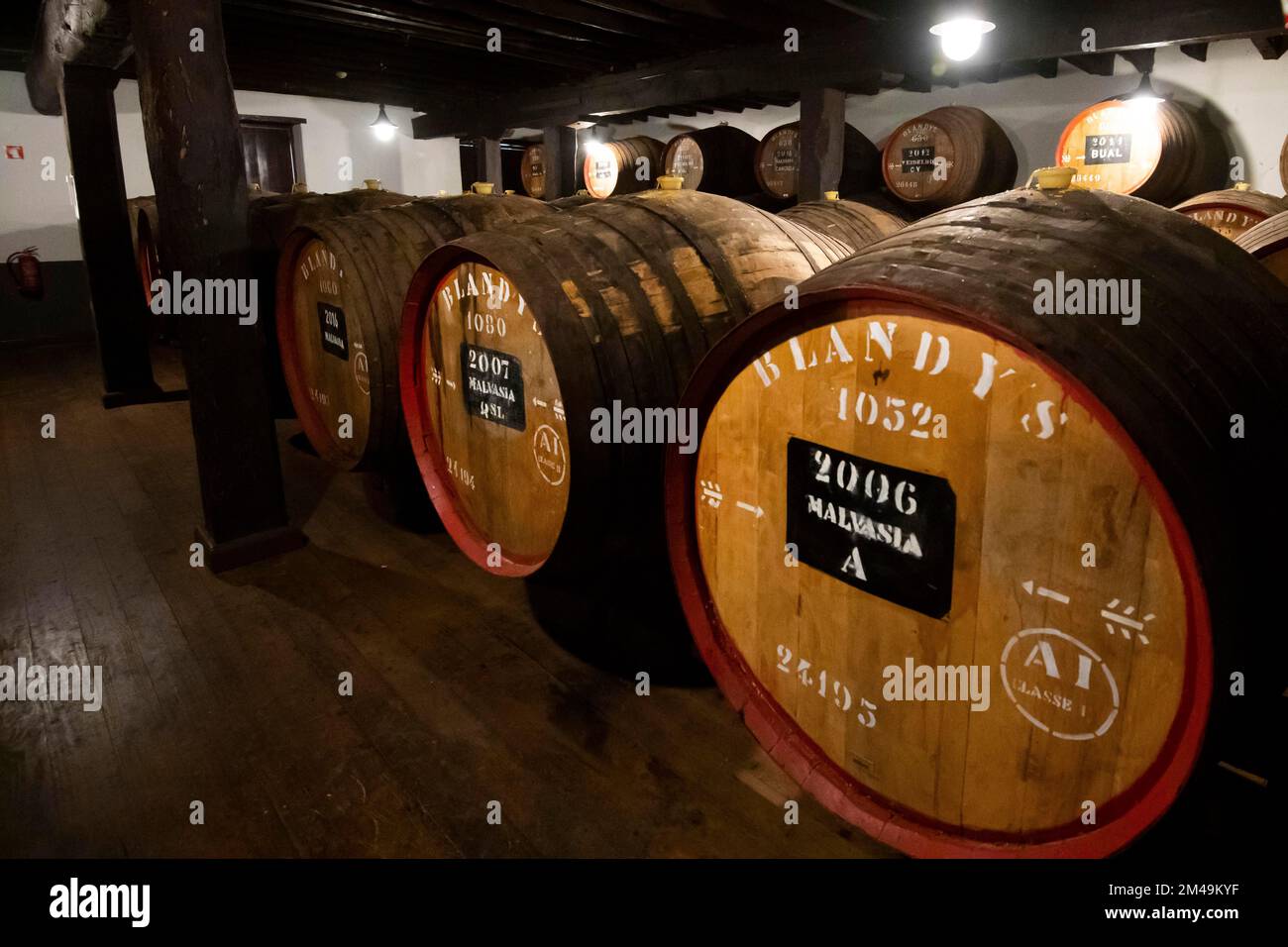 Blandy’s barrels of Madeira Wine, Funchal, Madeira Island, Portugal