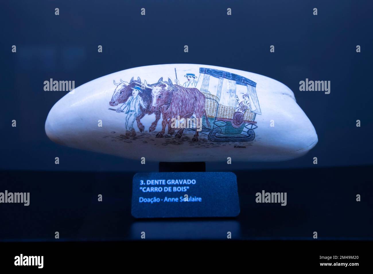 Historical drawings on a tooth of a sperm whale (Physeter macrocephalus) (Syn.: Physeter catodon), Whale Museum in Canical, Madeira Island, Portugal Stock Photo