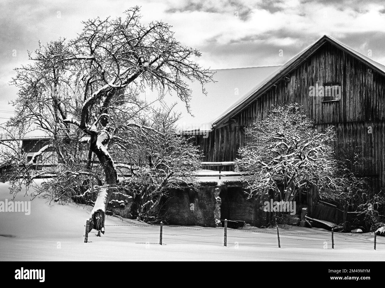 Black and white farm barn hi-res stock photography and images - Alamy