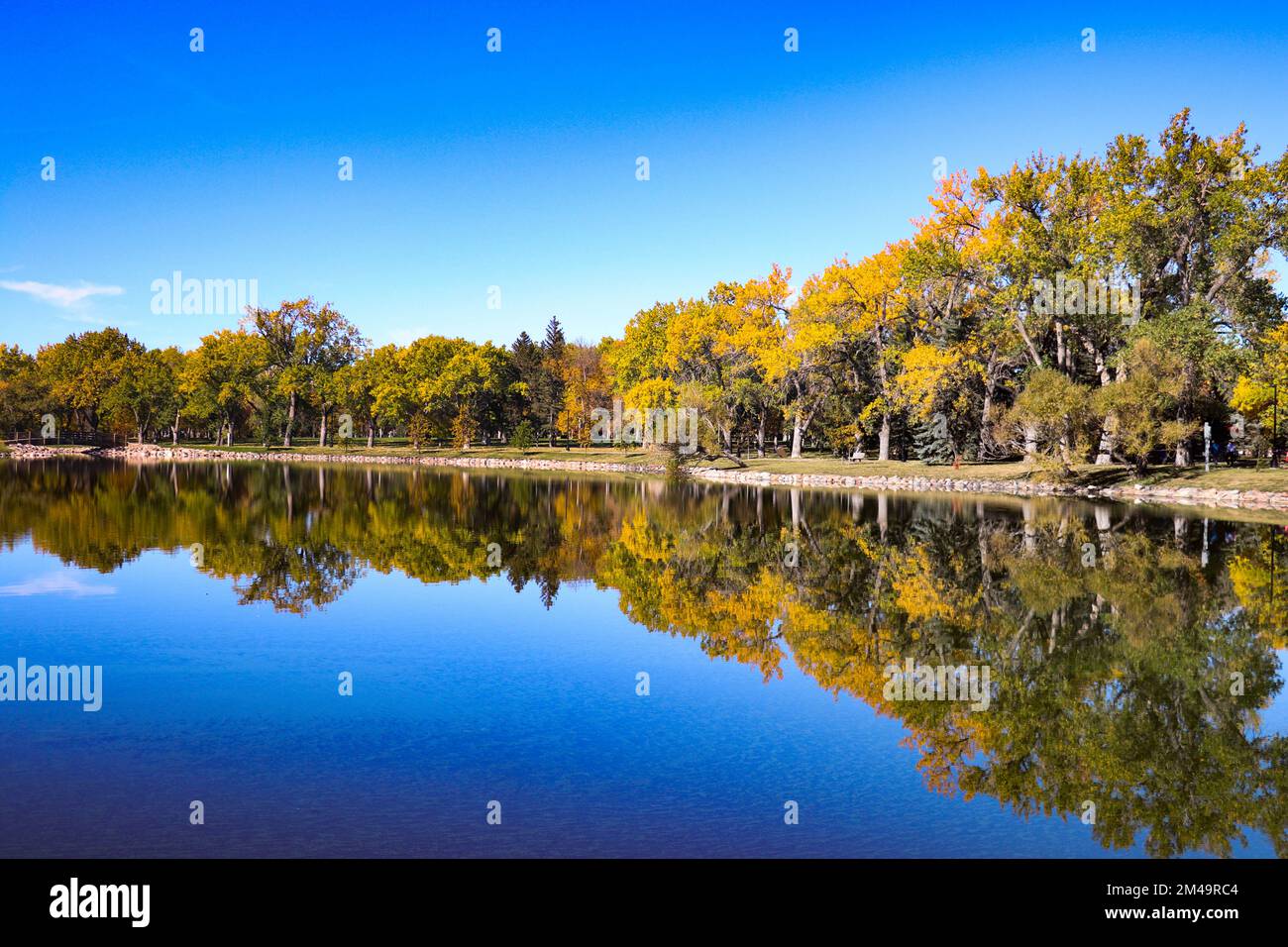 Lethbridge park pond reflection Stock Photo Alamy