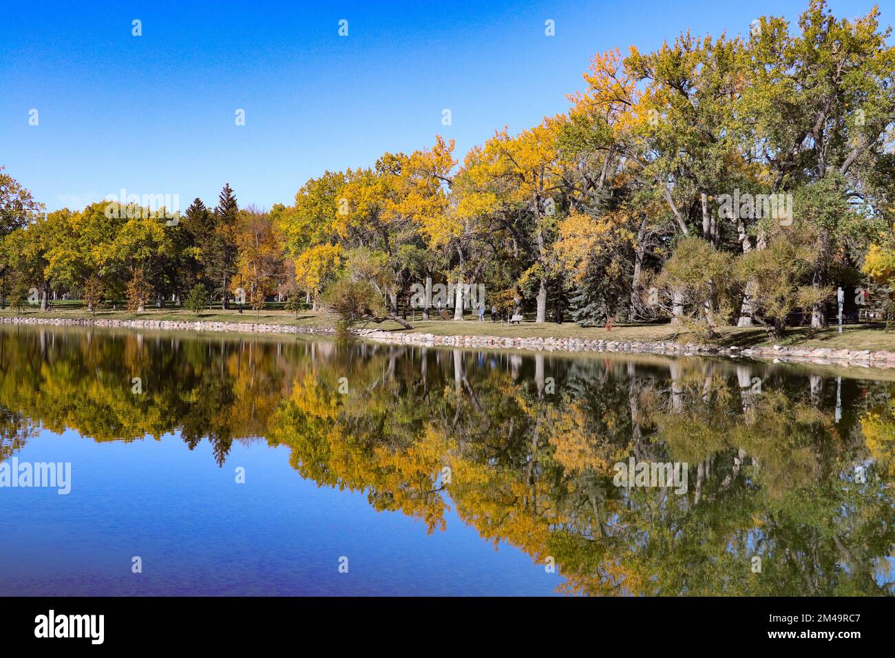 Lethbridge park pond reflection Stock Photo Alamy