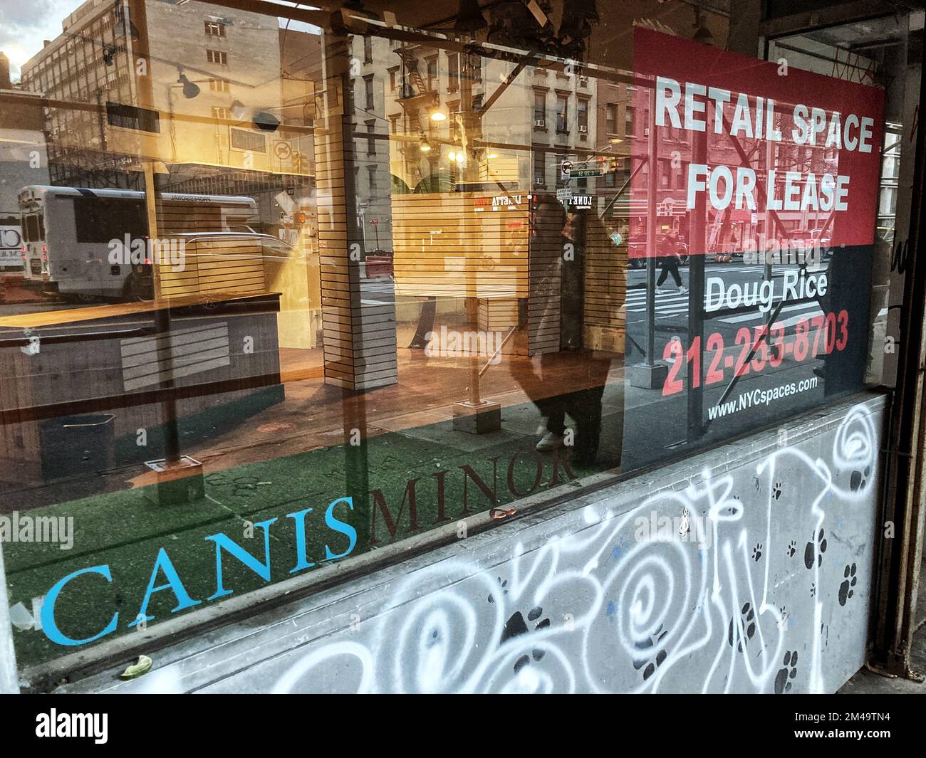 New York New York USA 17th Dec 2022 Pet Shops Close In New York new-york-new-york-usa-17th-dec-2022-pet-shops-close-in-new-york