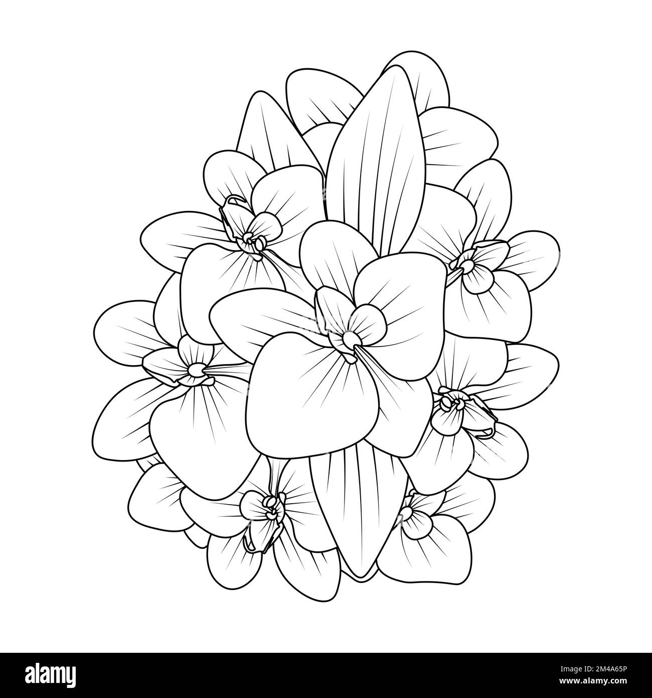 orchid flower outline line coloring page of easy sketches hand drawing design Stock Vector