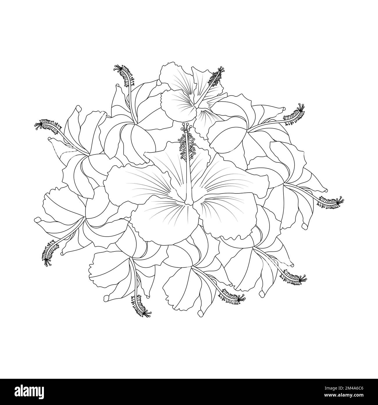 rose of sharon flower doodle art design of coloring page with detailed ...