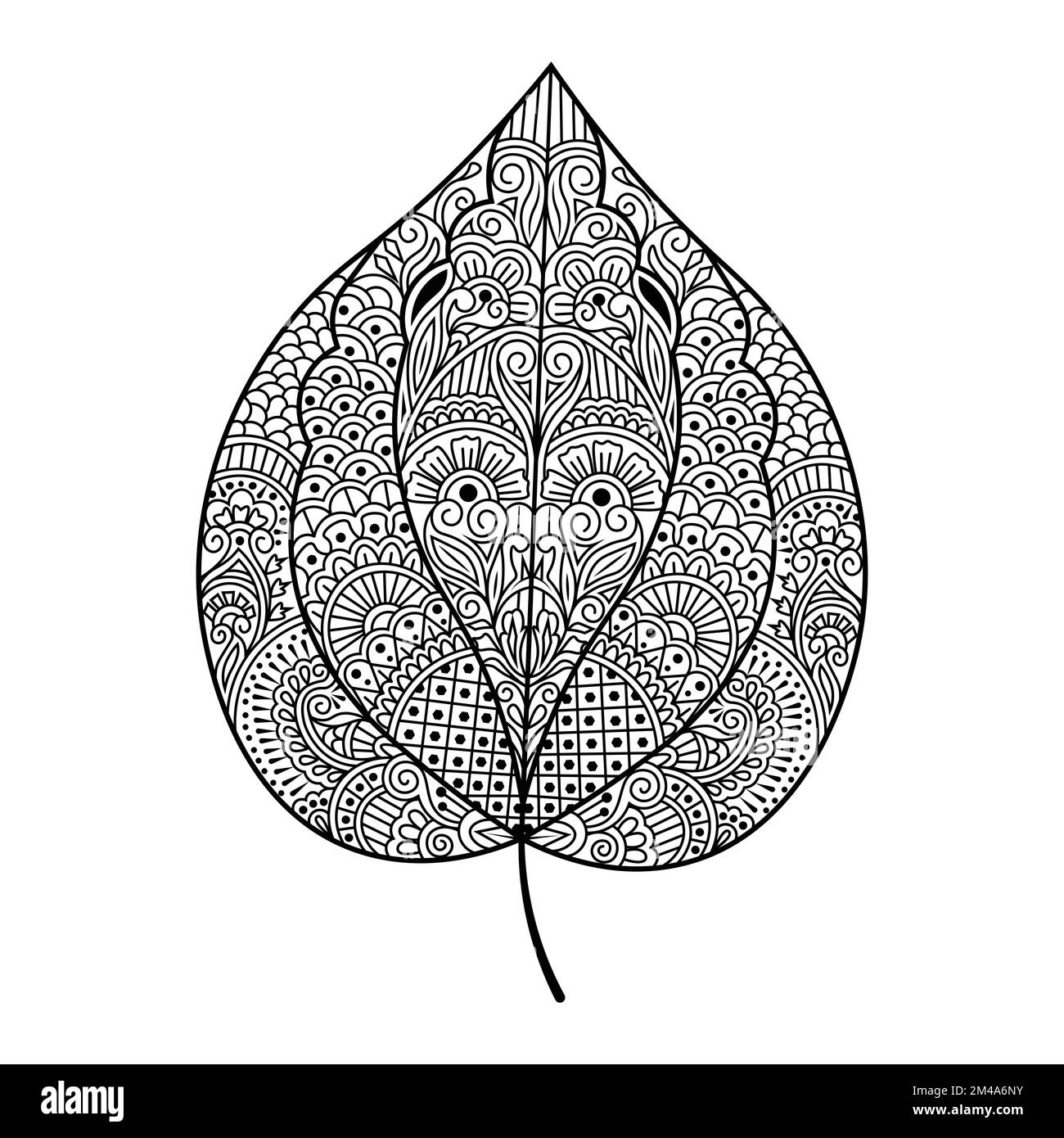 Linear graphic oak leaf drawing with veins isolated on white background.  Element for design in line art style. Vector illustration Stock Vector  Image & Art - Alamy