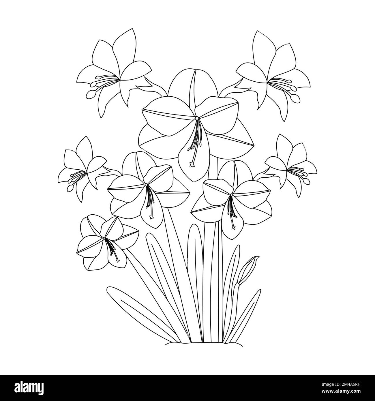 My Image 31
