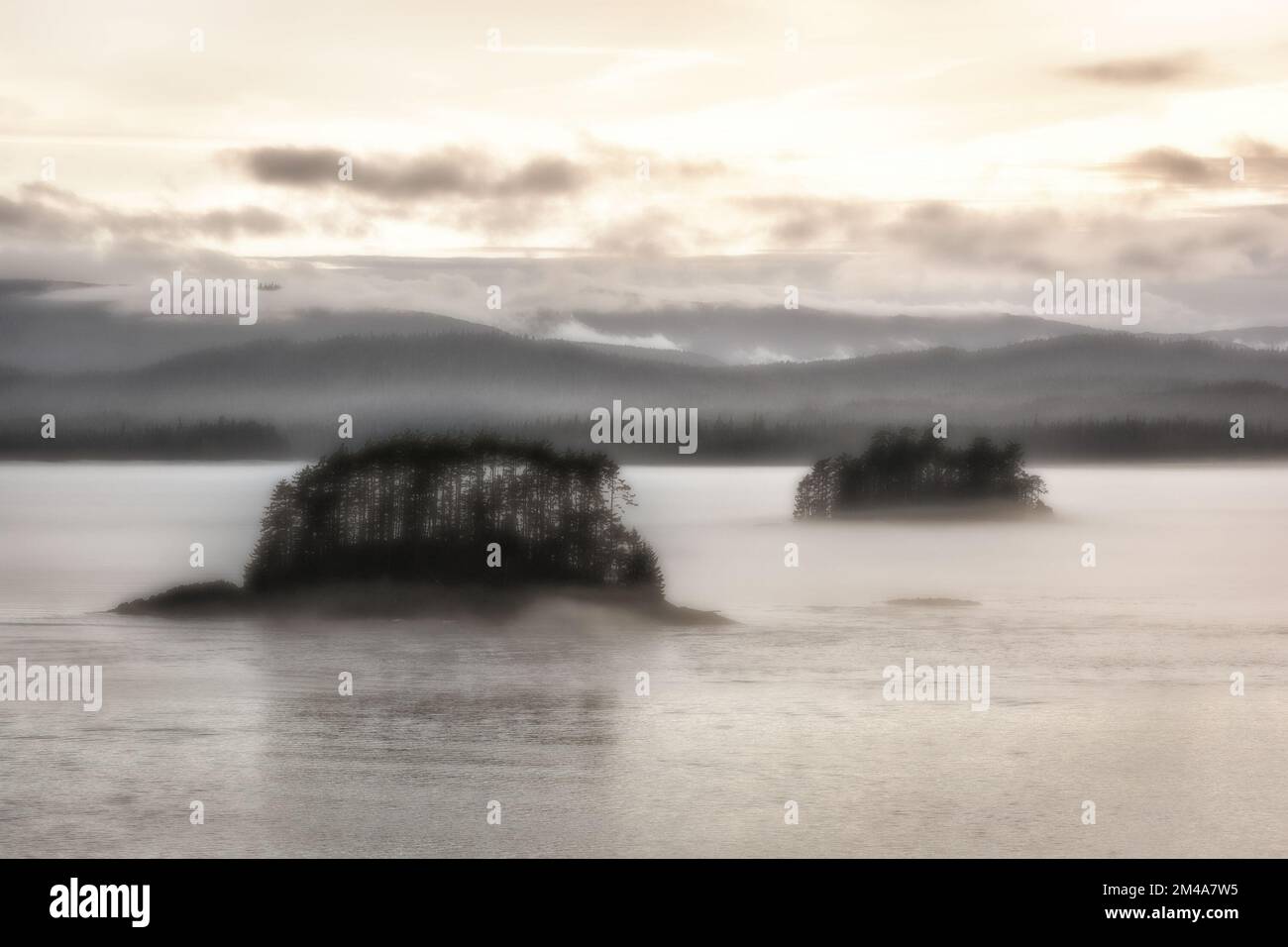 An aerial view of lake surrounded by dense trees during fog Stock Photo ...