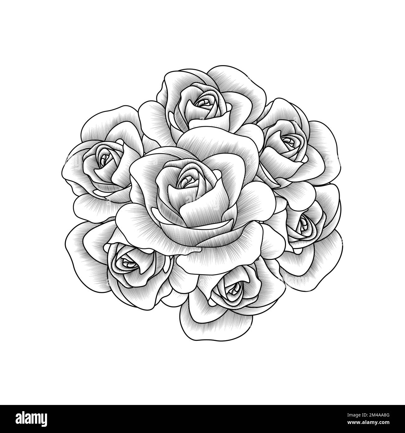 rose illustration of pencil line art with doodle style adult ...