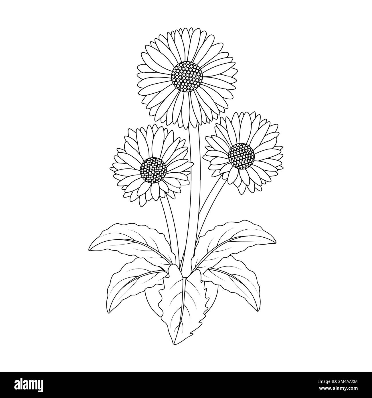 daisy flower drawing kids coloring page with pencil line art design in detailed vector graphic Stock Vector