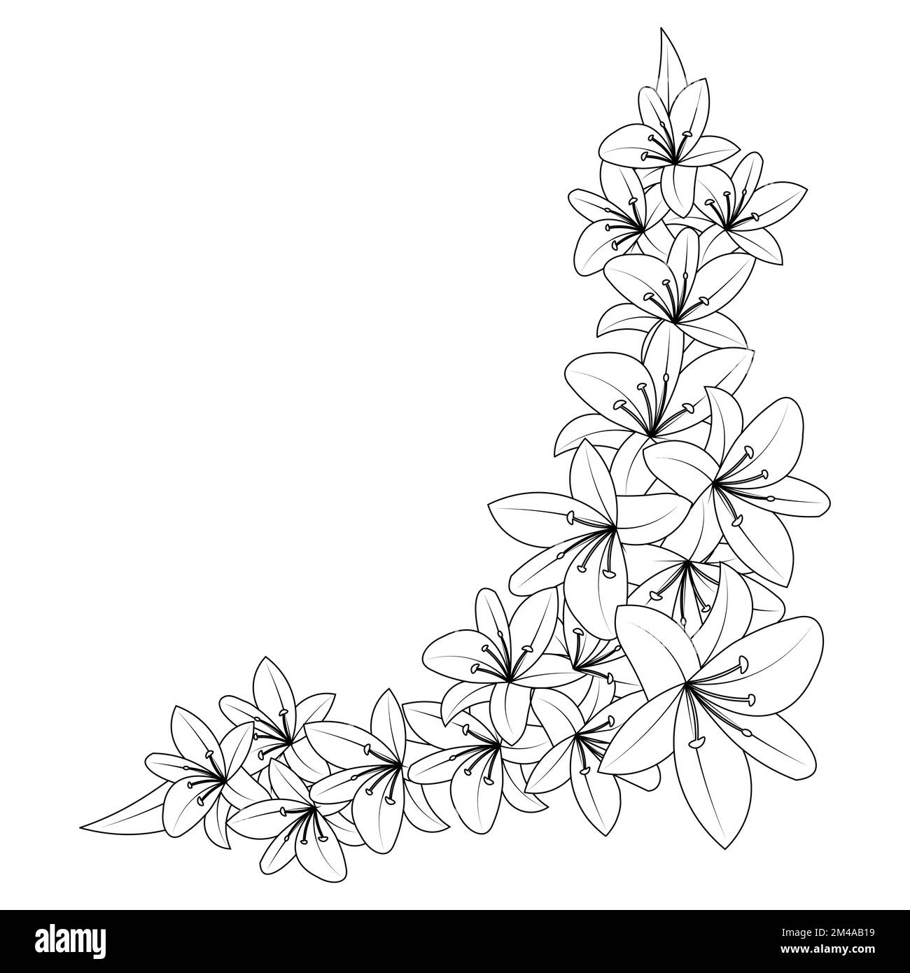 Easy Lily Coloring Pages