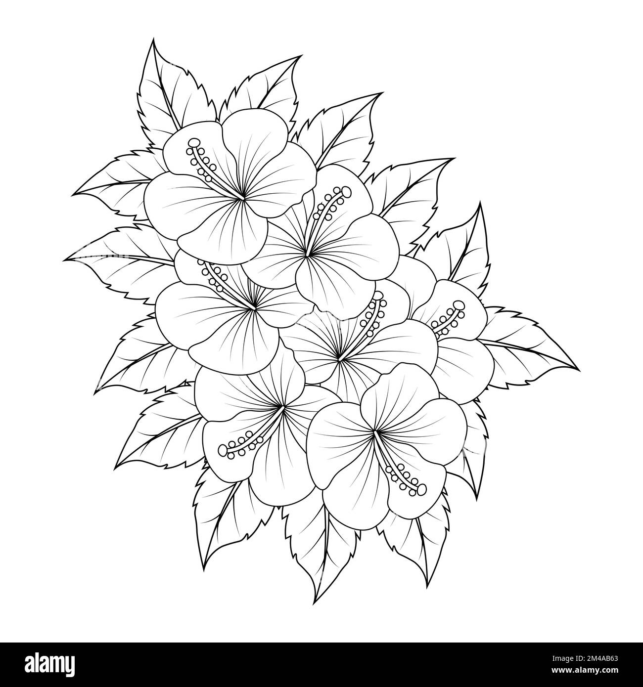 hibiscus flower coloring page illustration with line art stroke of ...