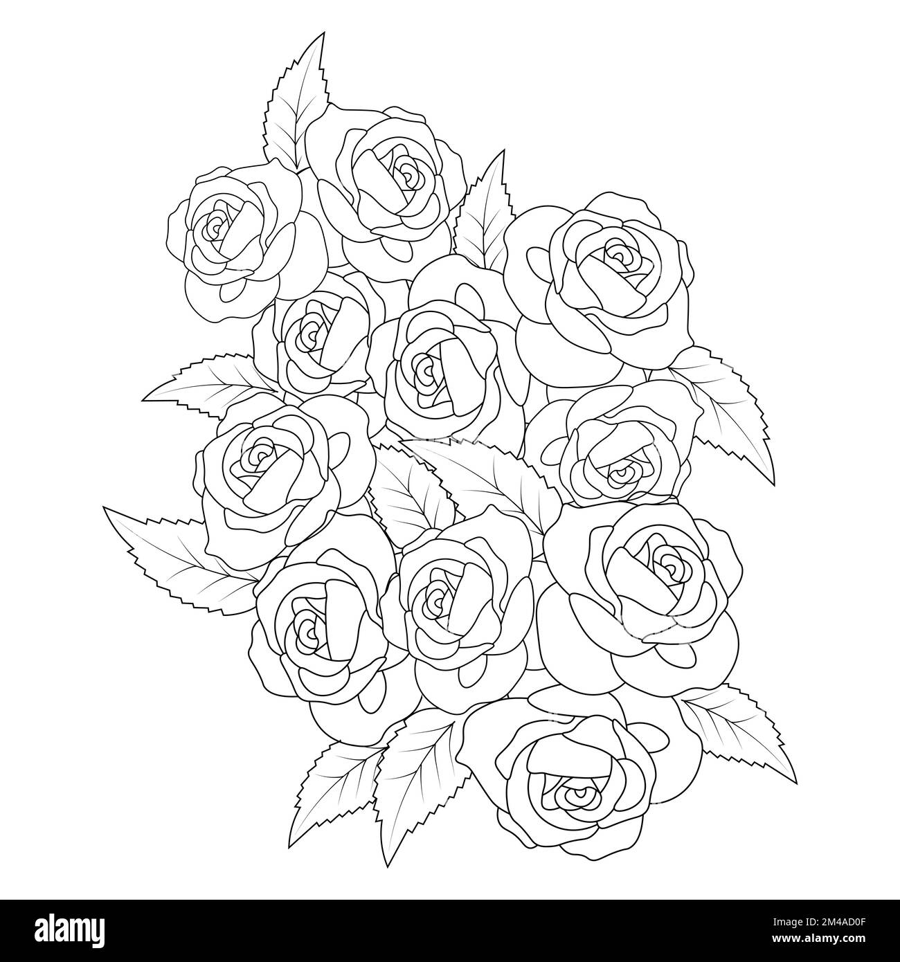 Bouquet Of Roses Coloring Pages - Hand Drawn Bouquet With Roses Sketch For Anti Stress Adult Coloring Book In Zen Tangle Style Vector Illustration For Coloring Page 2M4AD0F 