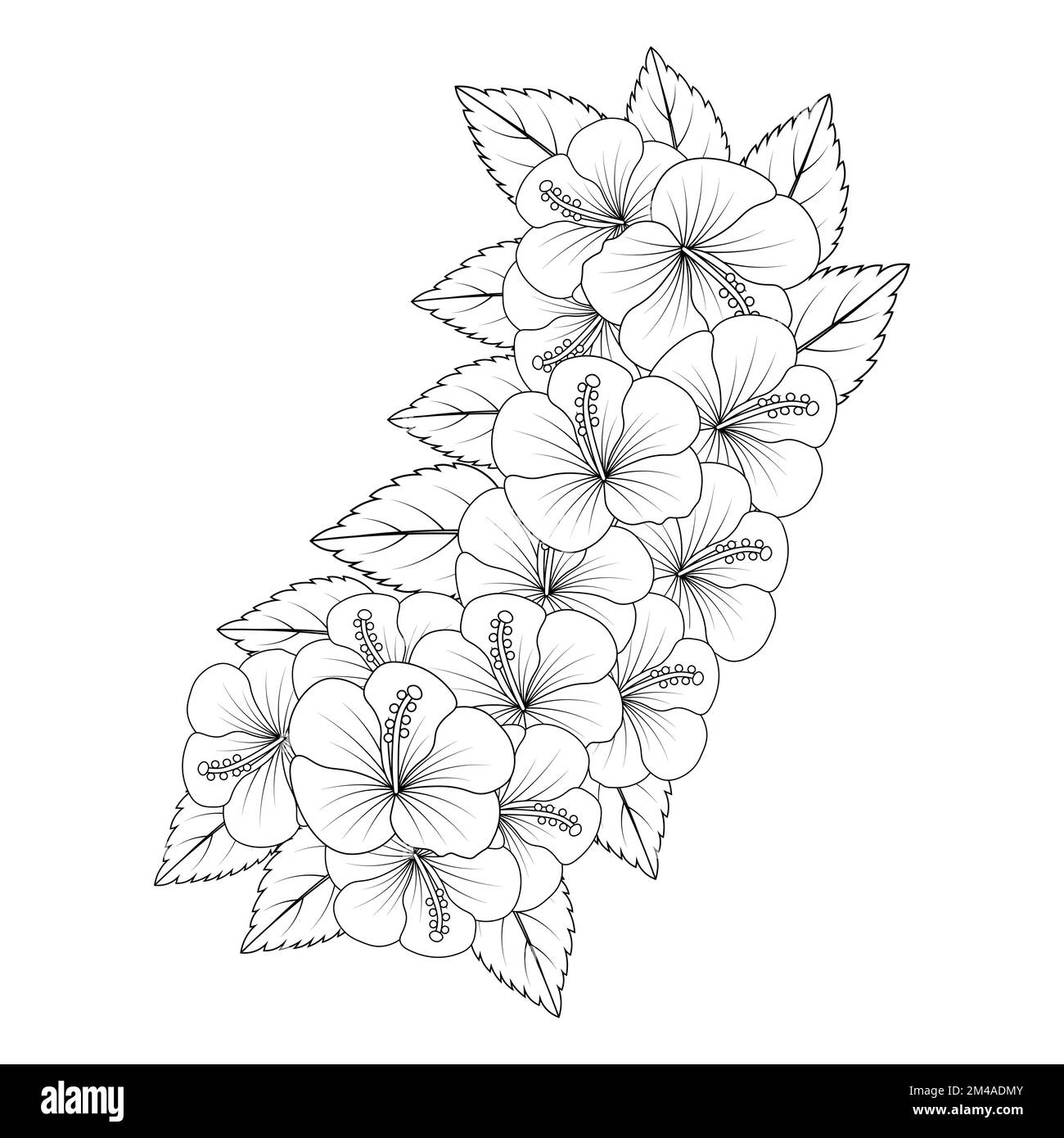 hibiscus flower coloring page illustration with line art stroke of ...