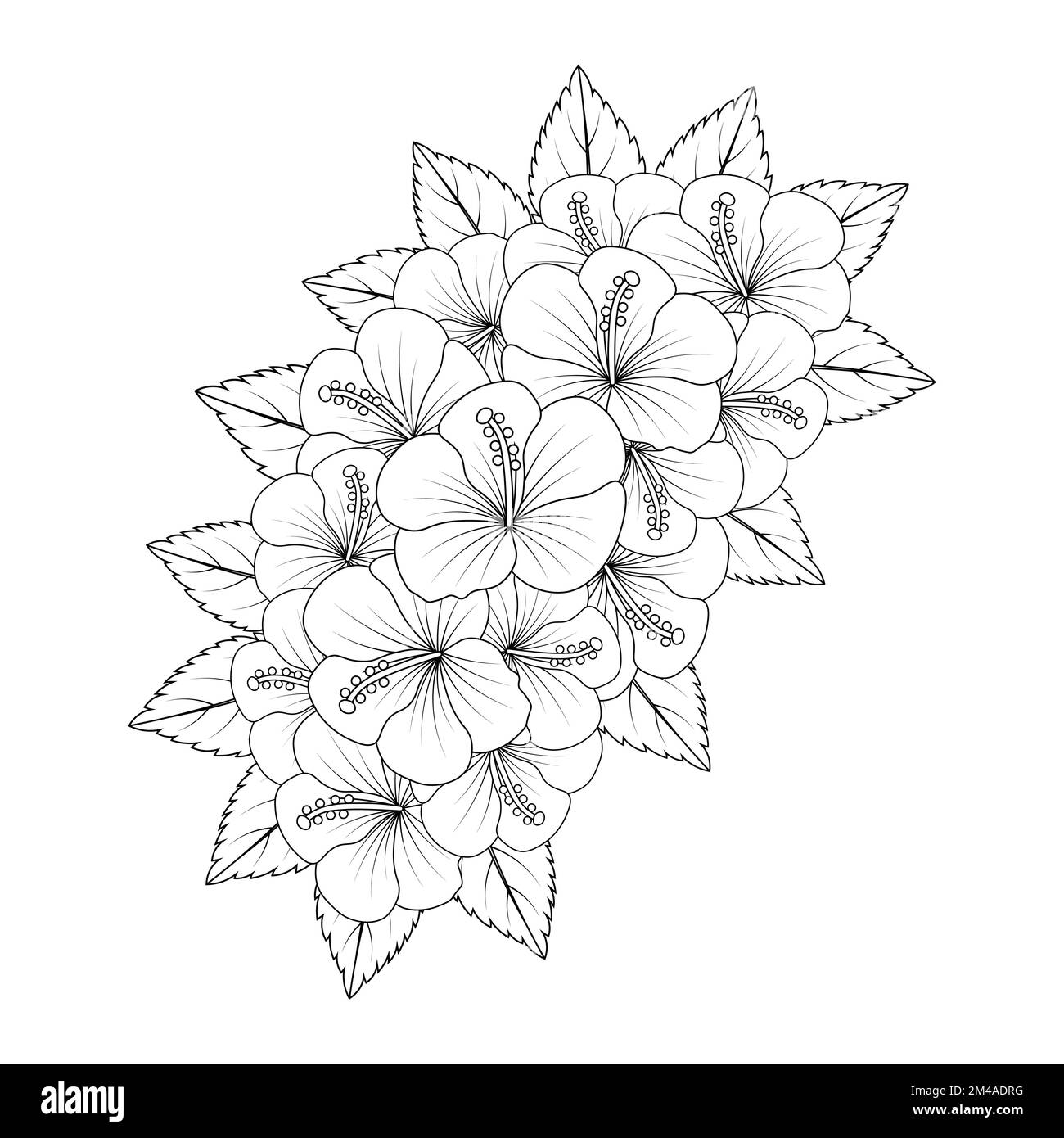 hibiscus flower coloring page illustration with line art stroke of ...