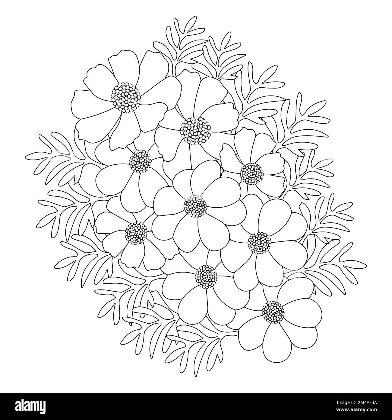 garden cosmos flower illustration coloring page with blooming petal line art design Stock Vector