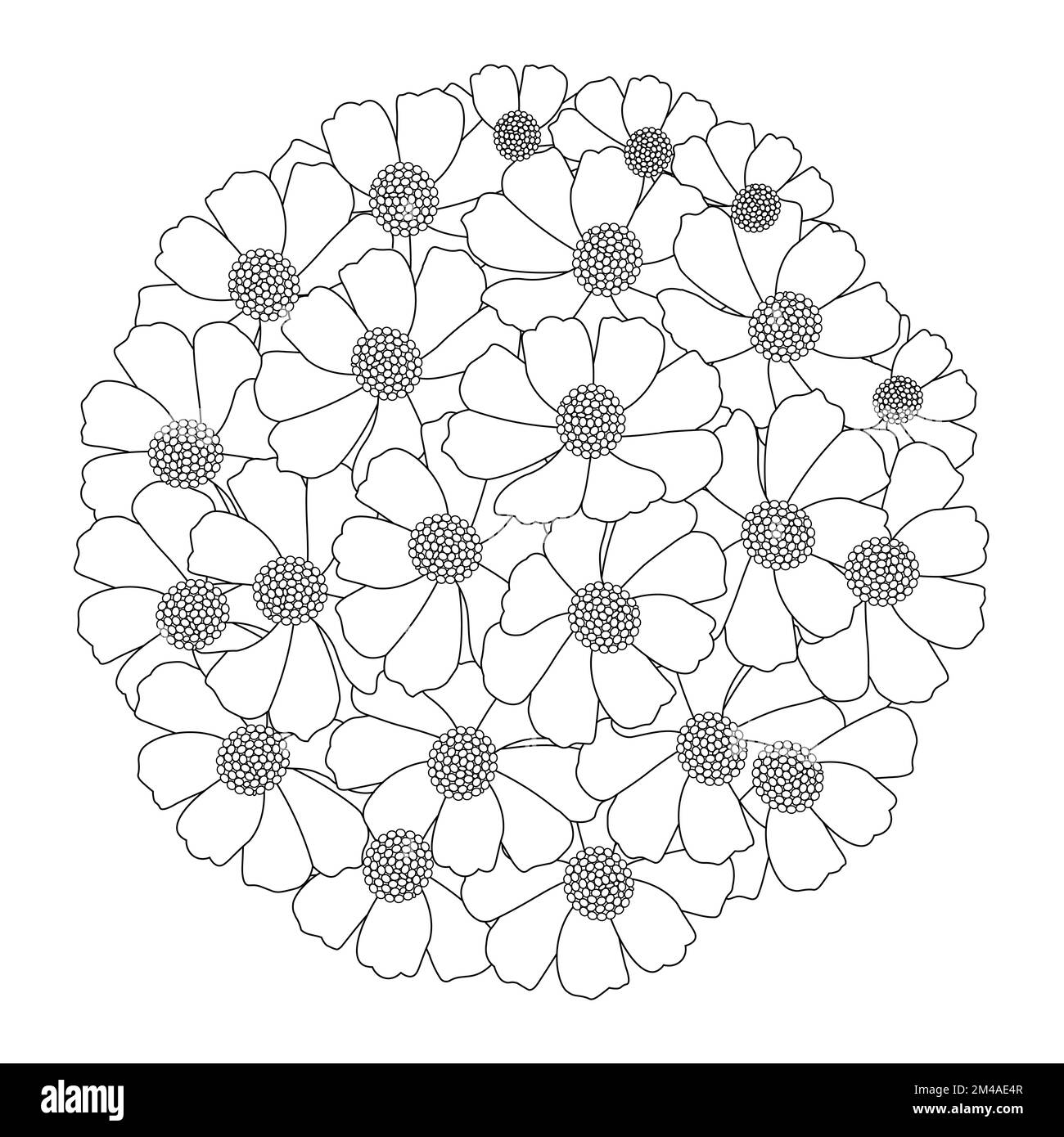 garden cosmos flower illustration coloring page with blooming petal line art design Stock Vector