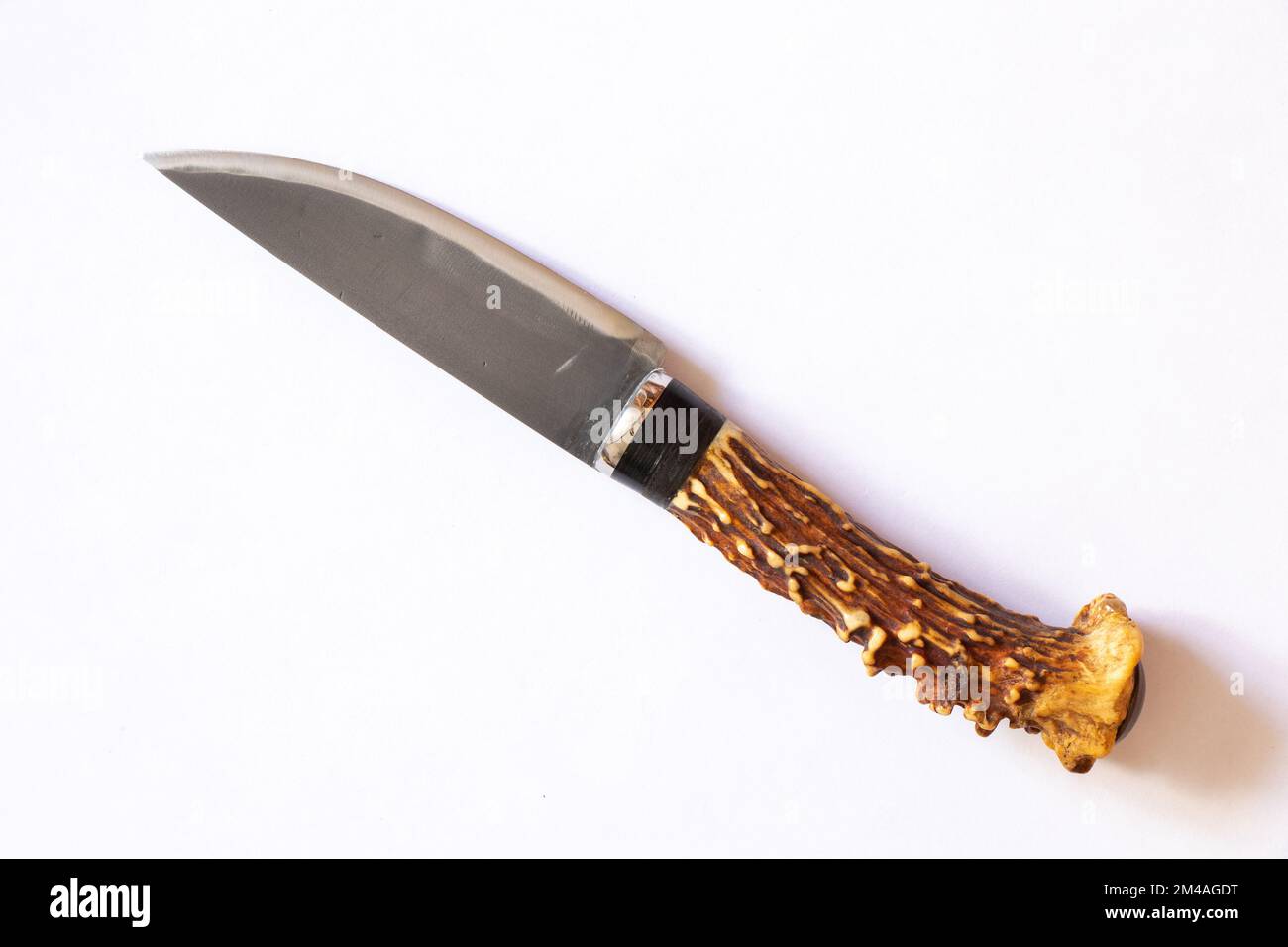 knife with a handle of a deer antler on an isolated background Stock