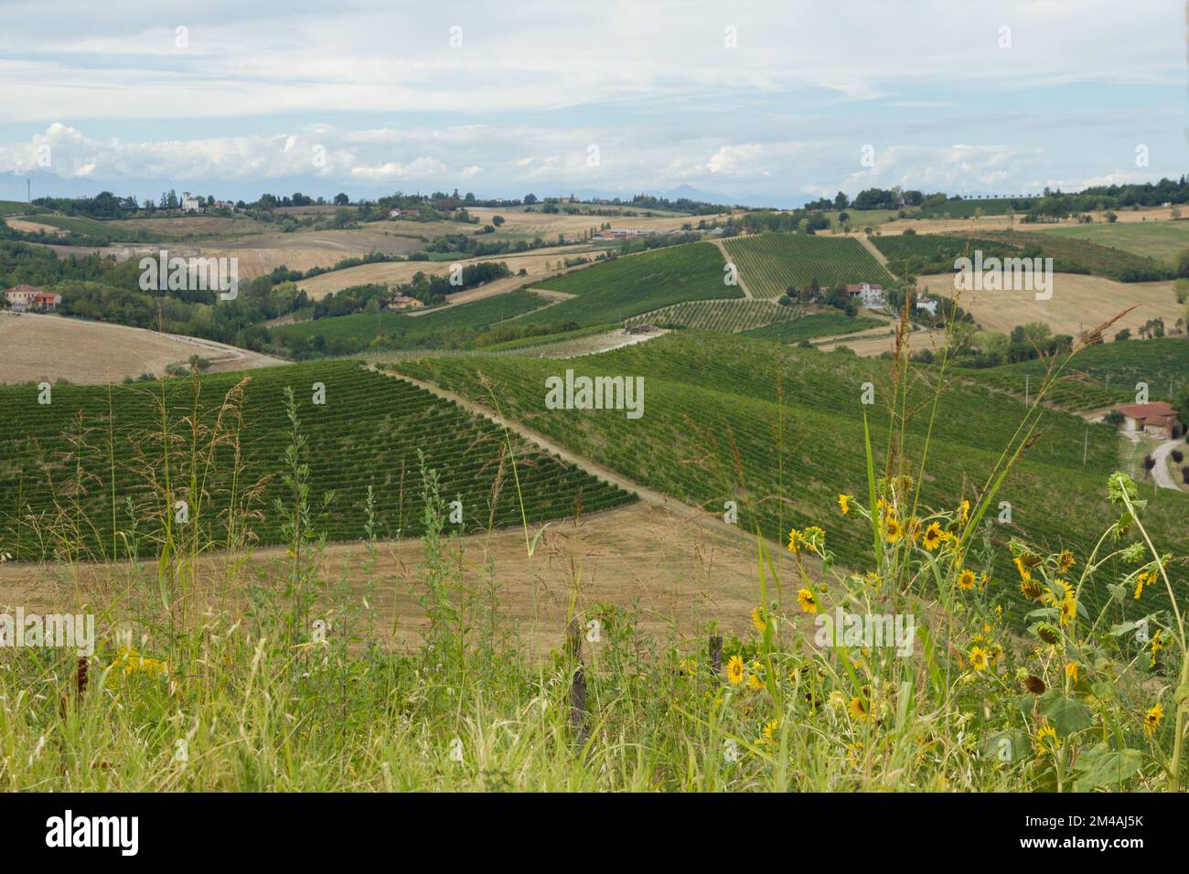 View greenery field mountains hi-res stock photography and images - Alamy