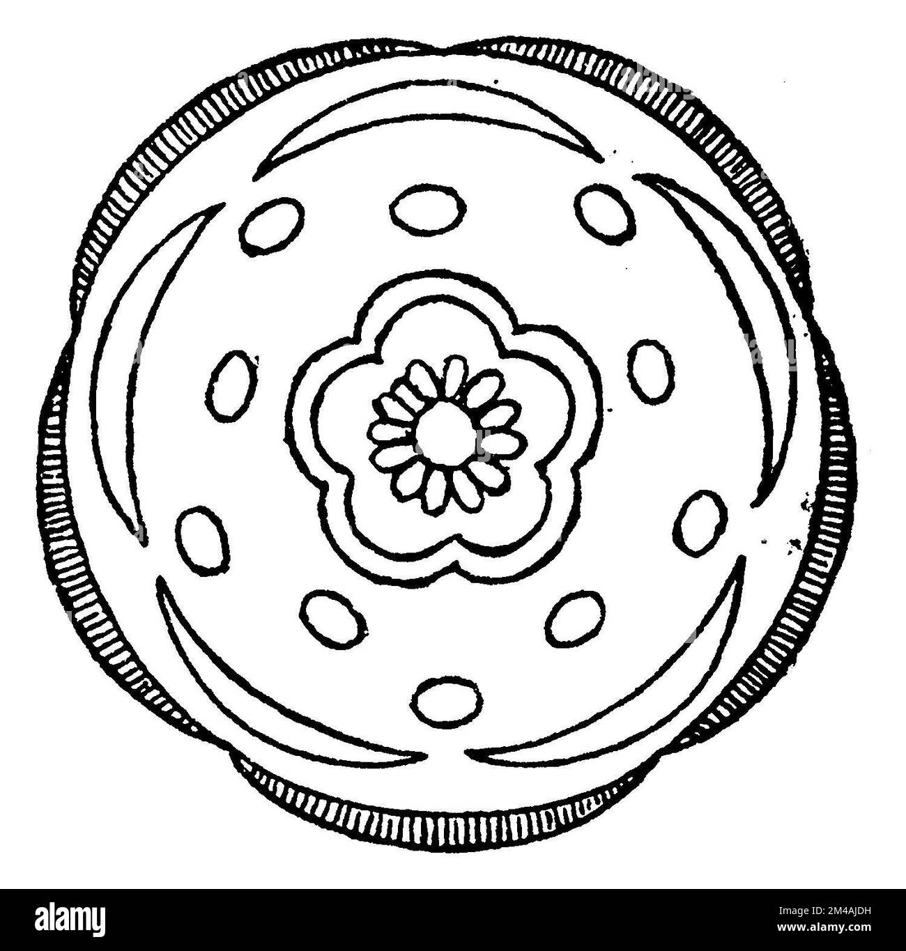 corncockle, flower diagram, Agrostemma githago, (, 1901), Kornrade