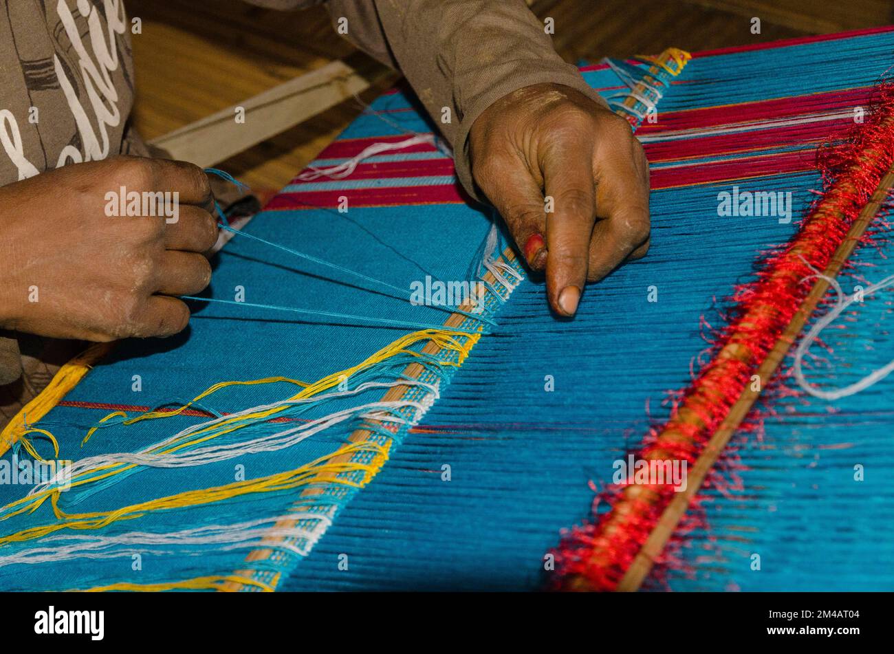 Adi Gallo-lady weaving material at a traditional hand loom in Pobdi-village Stock Photo