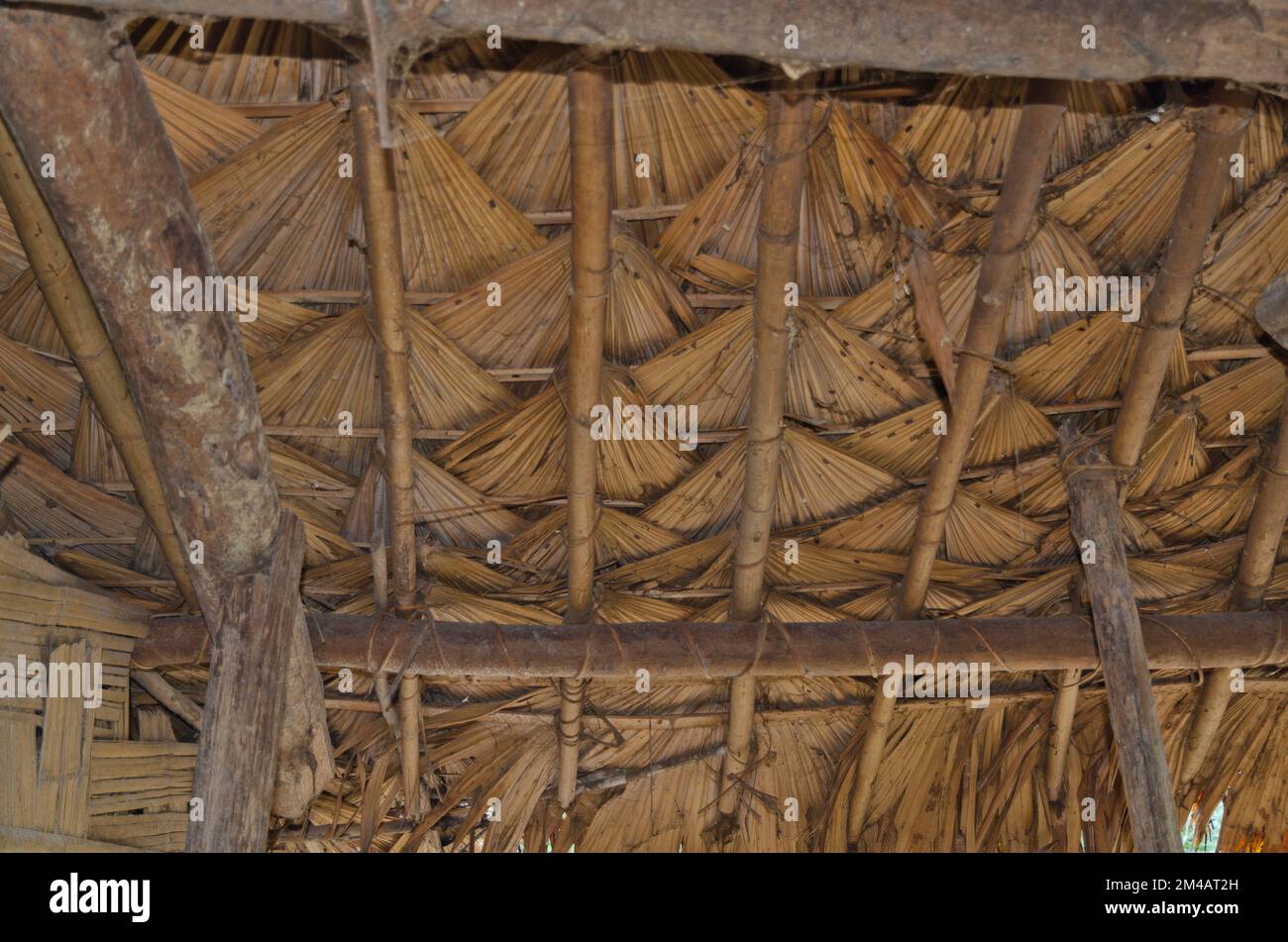 The roofs of the houses of the Adi Gallo-tribe are constructed by natural materials Stock Photo