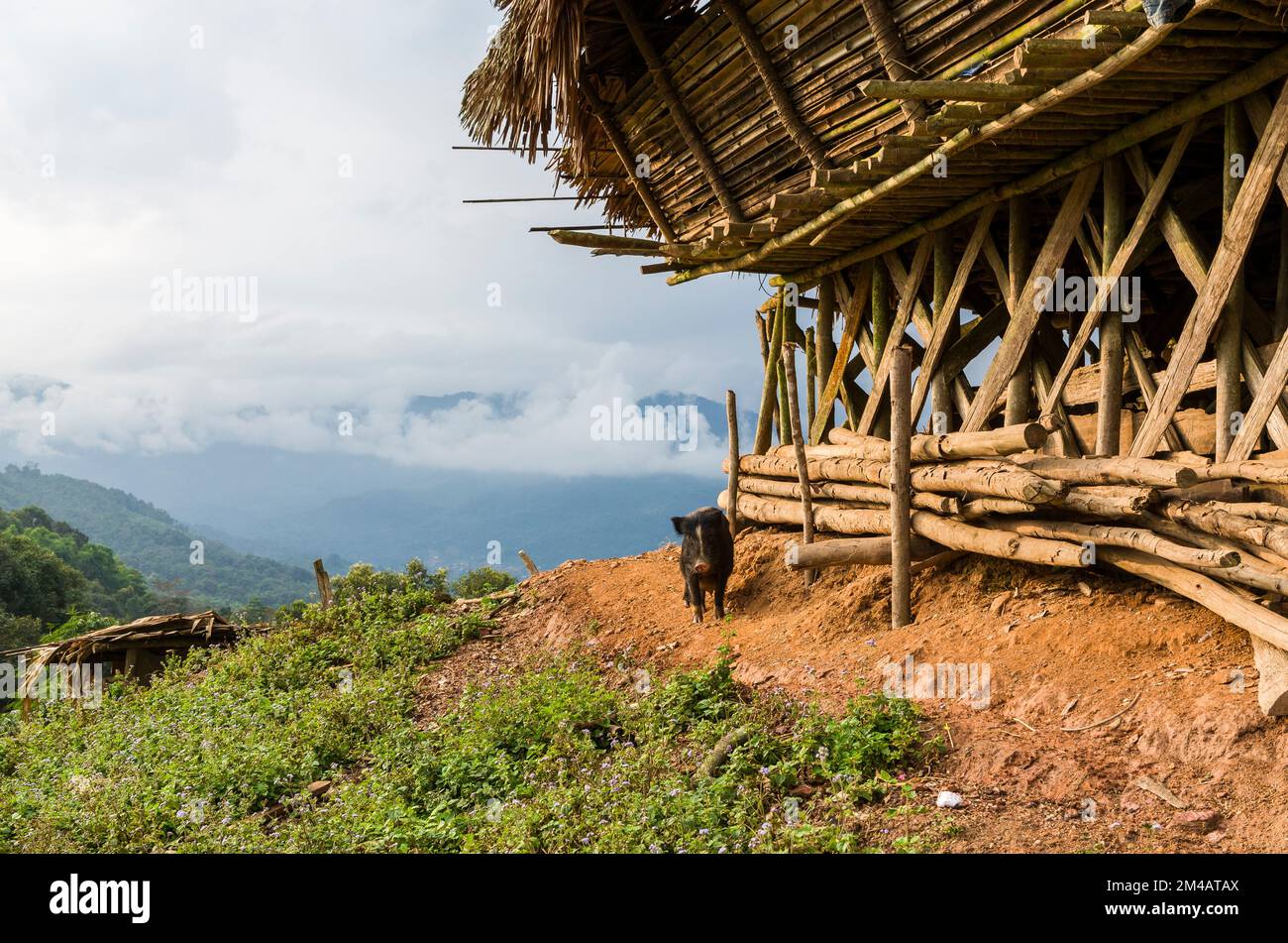 The village Kombo of the Adi Gallo-Tribe lies picturesque in the hills of Arunachal Pradesh Stock Photo