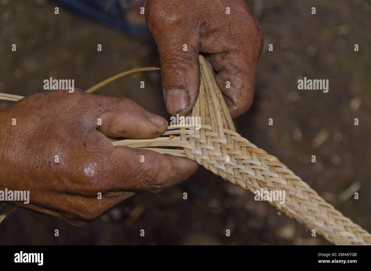 Belts for daily use are still braided fom natural materials by the Adi Gallo people Stock Photo