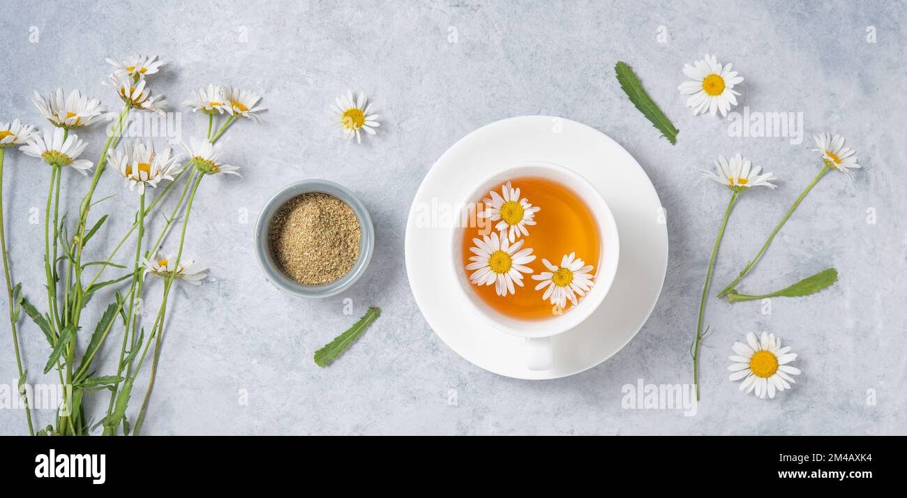 Healthy flat lay with chamomile tea in a white cup, vase, dry tea and  flowers daisy  on a blue background. Top view image Stock Photo