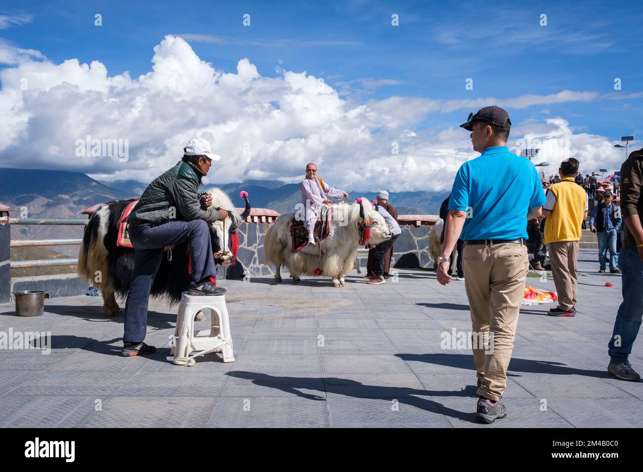A nun (tourist) has his photo taken atop a white yak at viewpoint on the Yarlung Tsangpo, southwest of Lhasa. Tibet Autonomous Region. China. Stock Photo