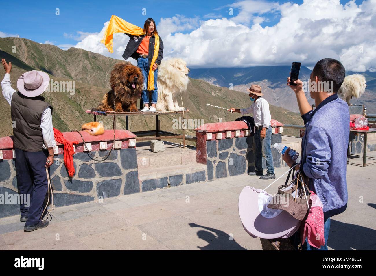 A Chinese tourist photographs his partner with two Tibetan mastiffs at viewpoint on the Yarlung Tsangpo. Tibet Autonomous Region. China. Stock Photo