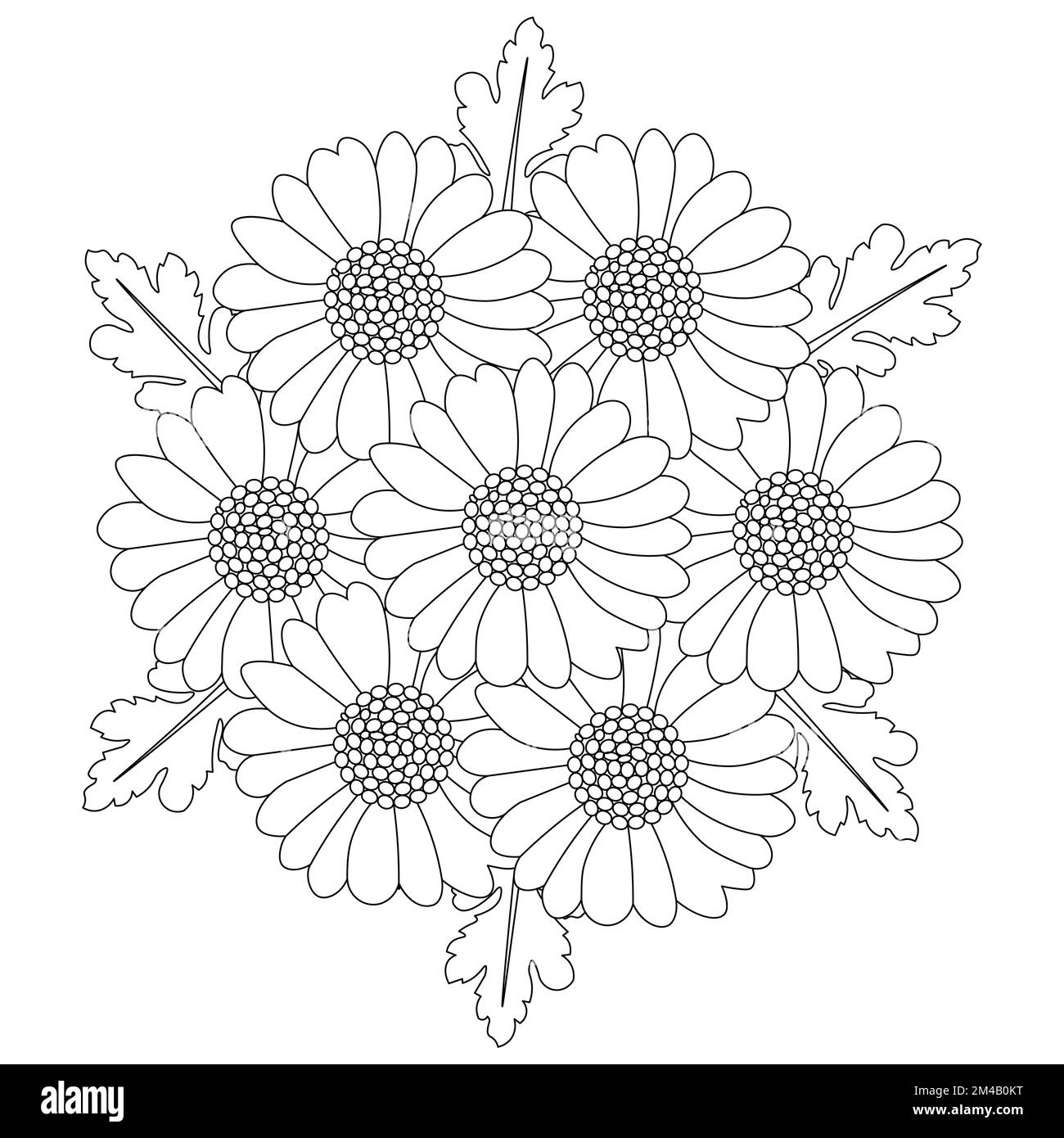 chamomile and daisy flower coloring page design with detailed line art vector graphic Stock Vector