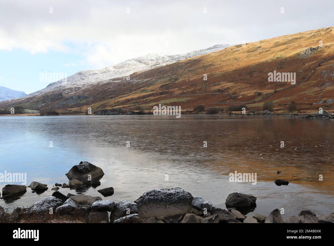 Snowdon Wellingtons
