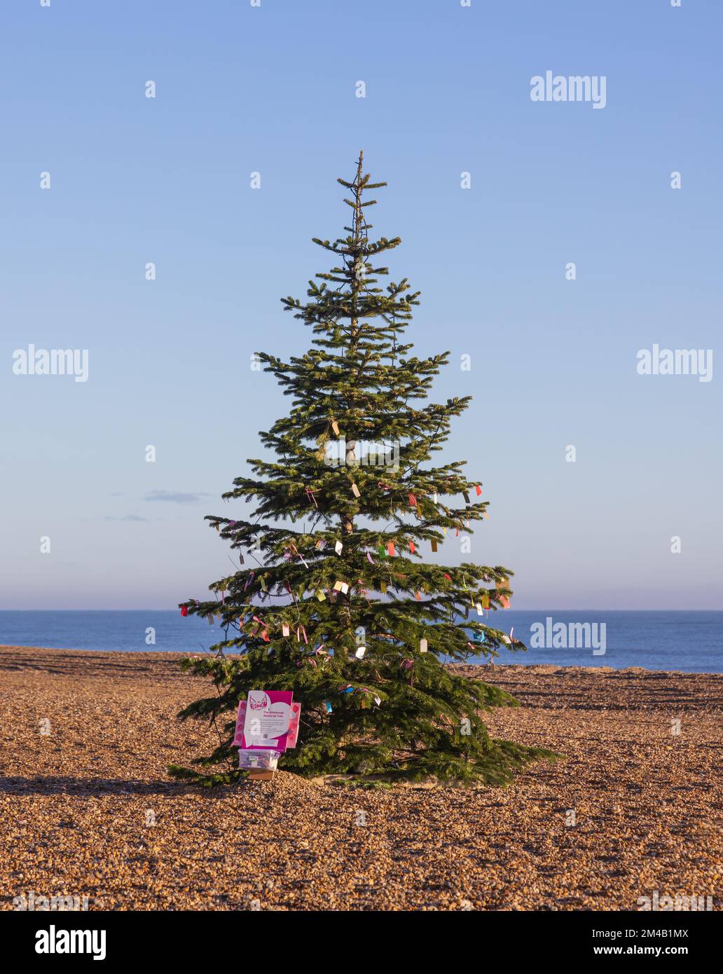 The Aldeburgh Memorial Christmas tree on the beach in aid of the Blossom Appeal. Aldeburgh, Suffolk. UK Stock Photo