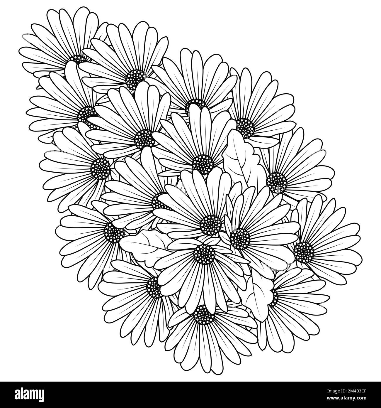 daisy flower daisies outline vector design in detailed line art coloring page Stock Vector Image
