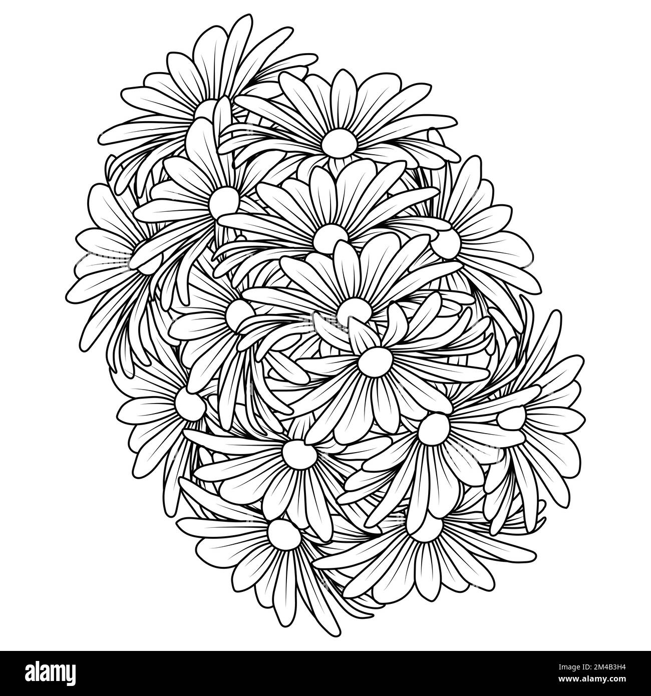 daisy flower daisies outline vector design in detailed line art coloring page Stock Vector