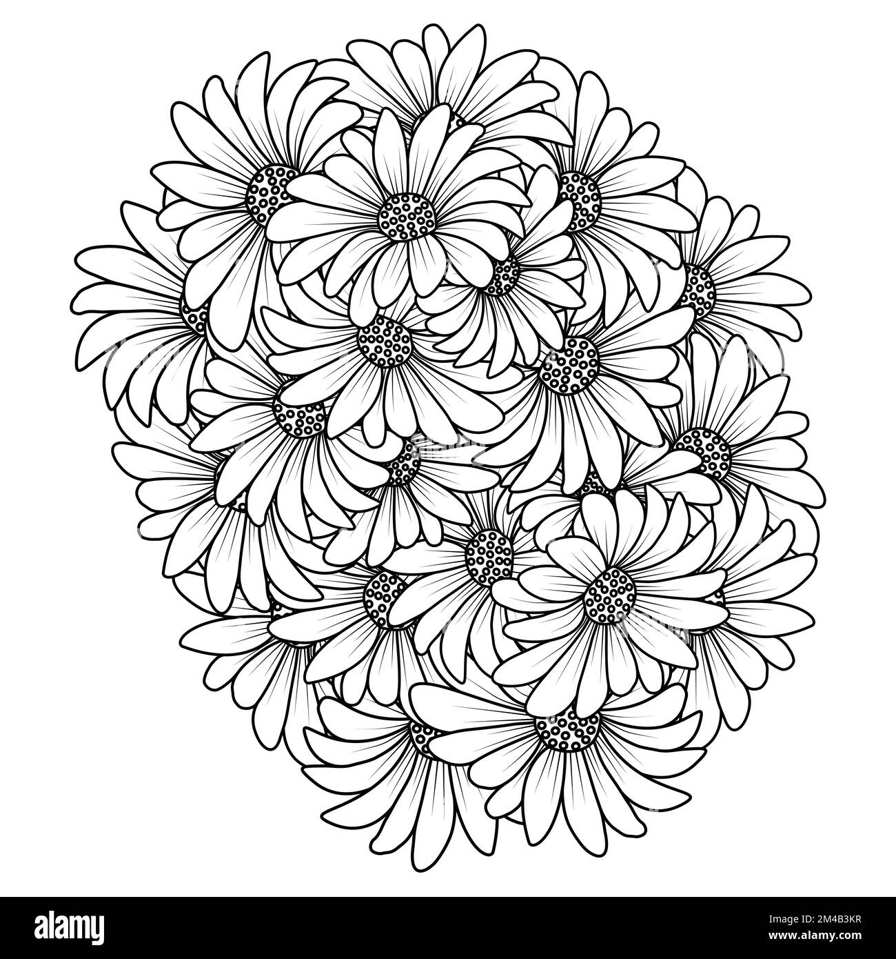 blossom daisy flower simplicity sketchy with artistic illustration on ...