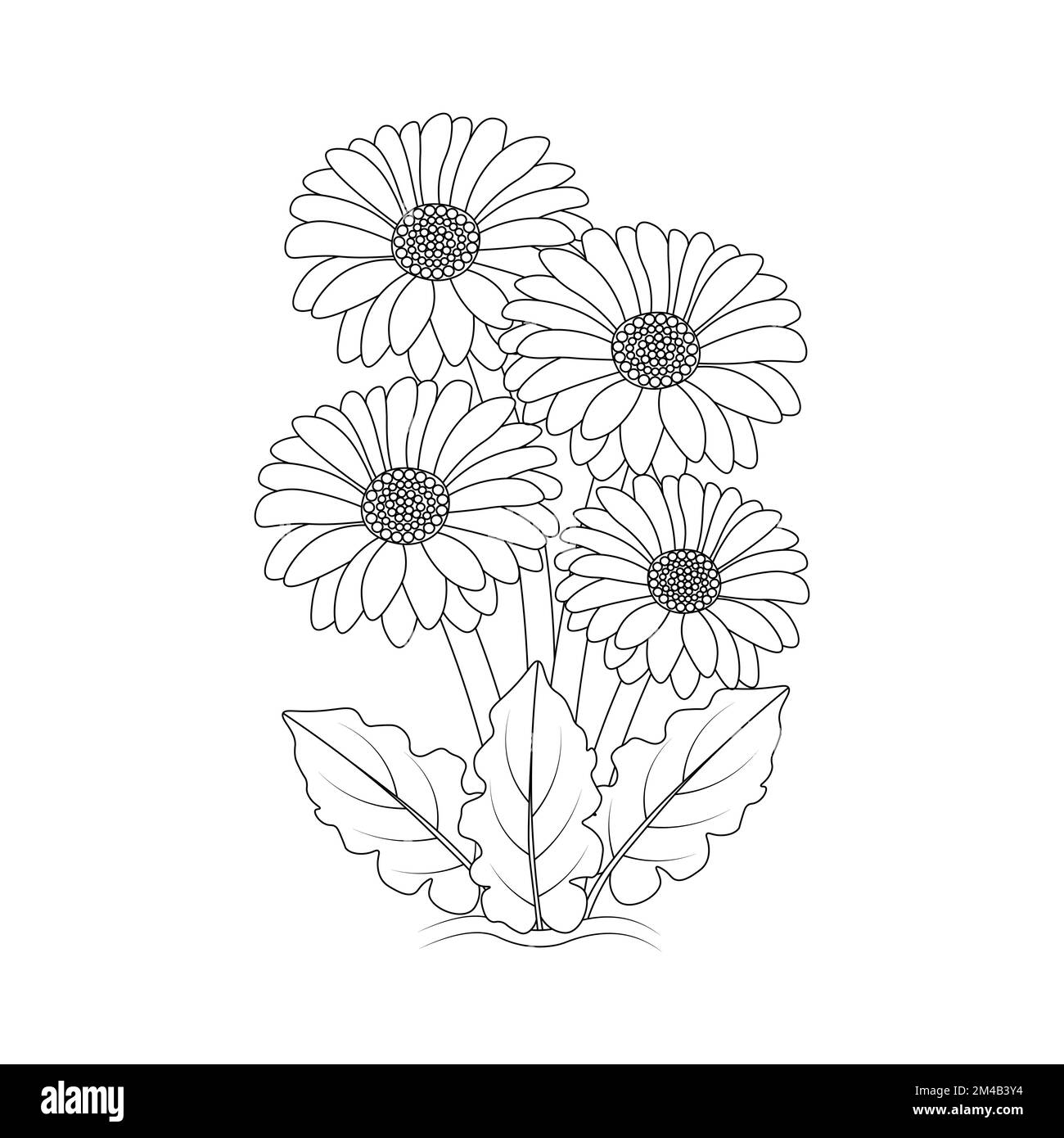 blossom daisy flower simplicity sketchy with artistic illustration on isolate background Stock Vector